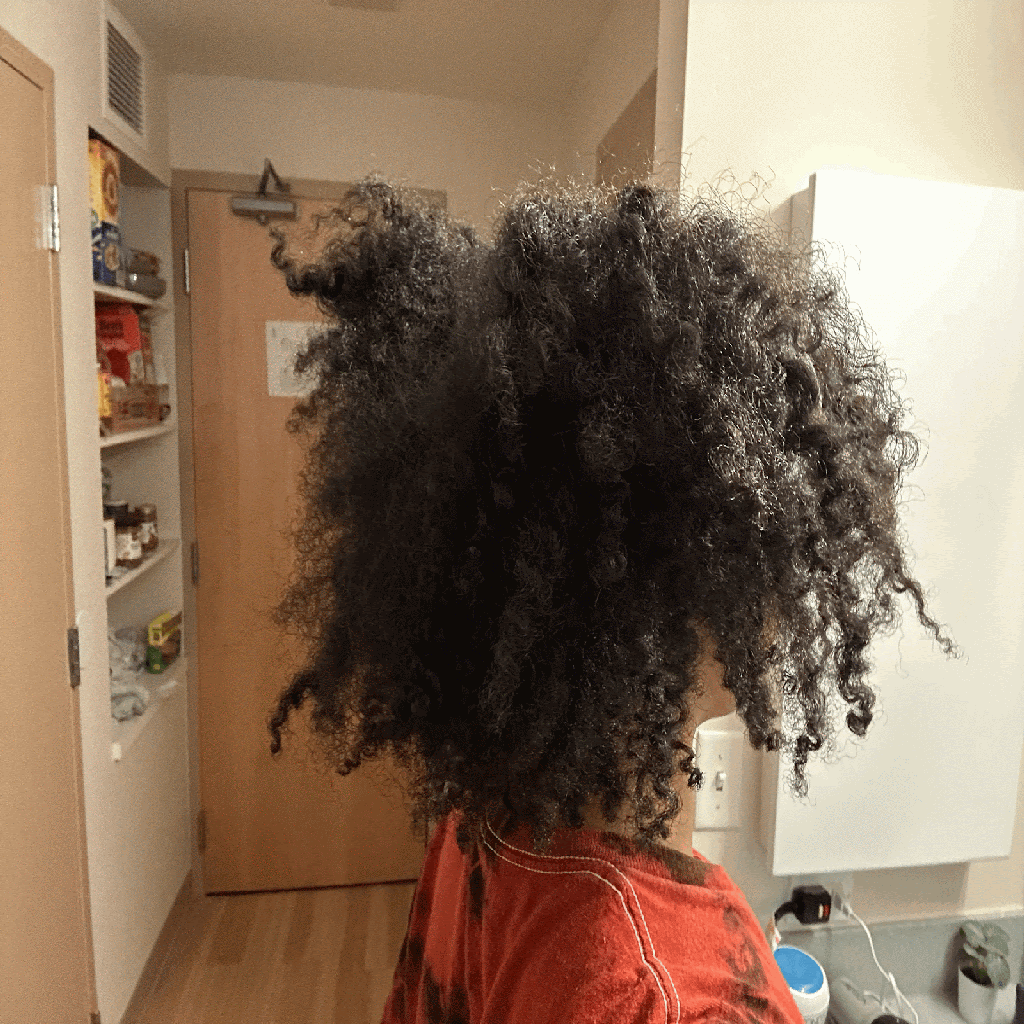 The take down of twists I put into my hair the night before with Luster’s Pink Repair and Strengthen Natural Oil Moisturizing Lotion and a personal mousse (Faith Harper/Her Campus Howard).
