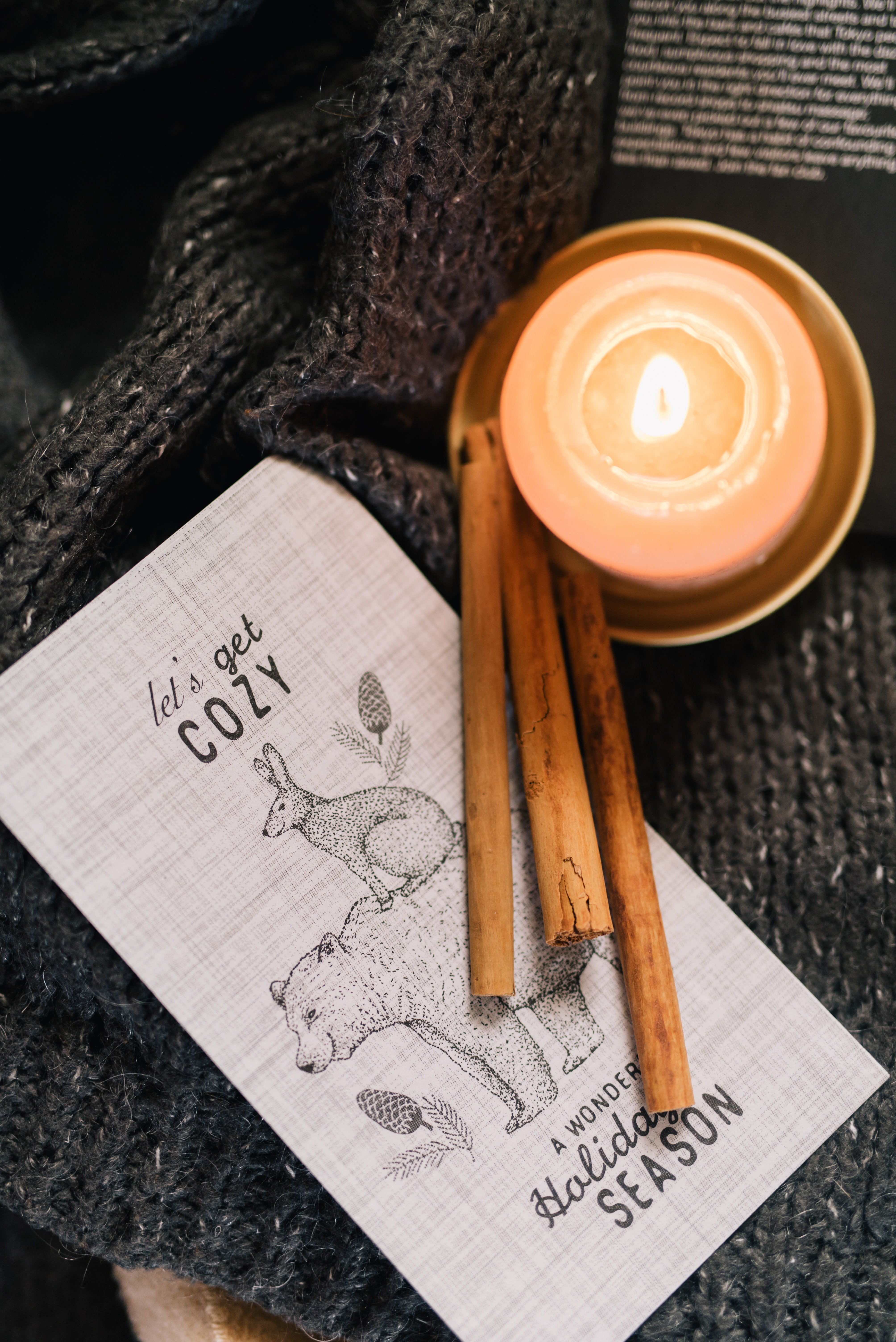 Candle, cinnamon sticks, "let's get cozy sign"