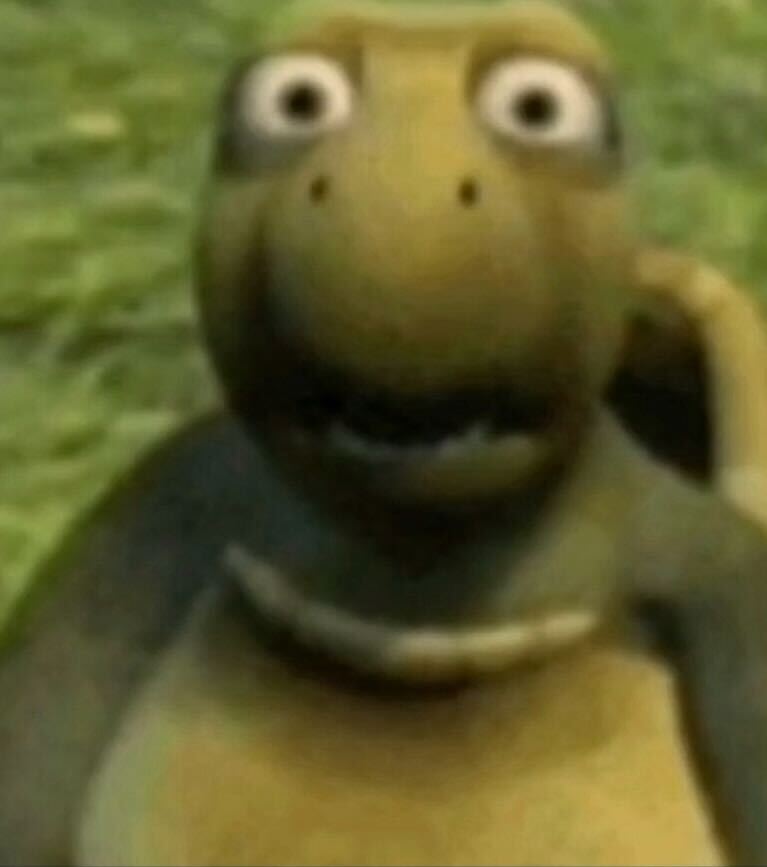 IMG 9241?width=300&height=300&fit=cover&auto=webp&dpr=4