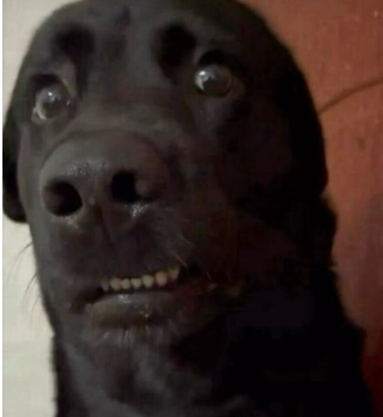 IMG 9243?width=300&height=300&fit=cover&auto=webp&dpr=4