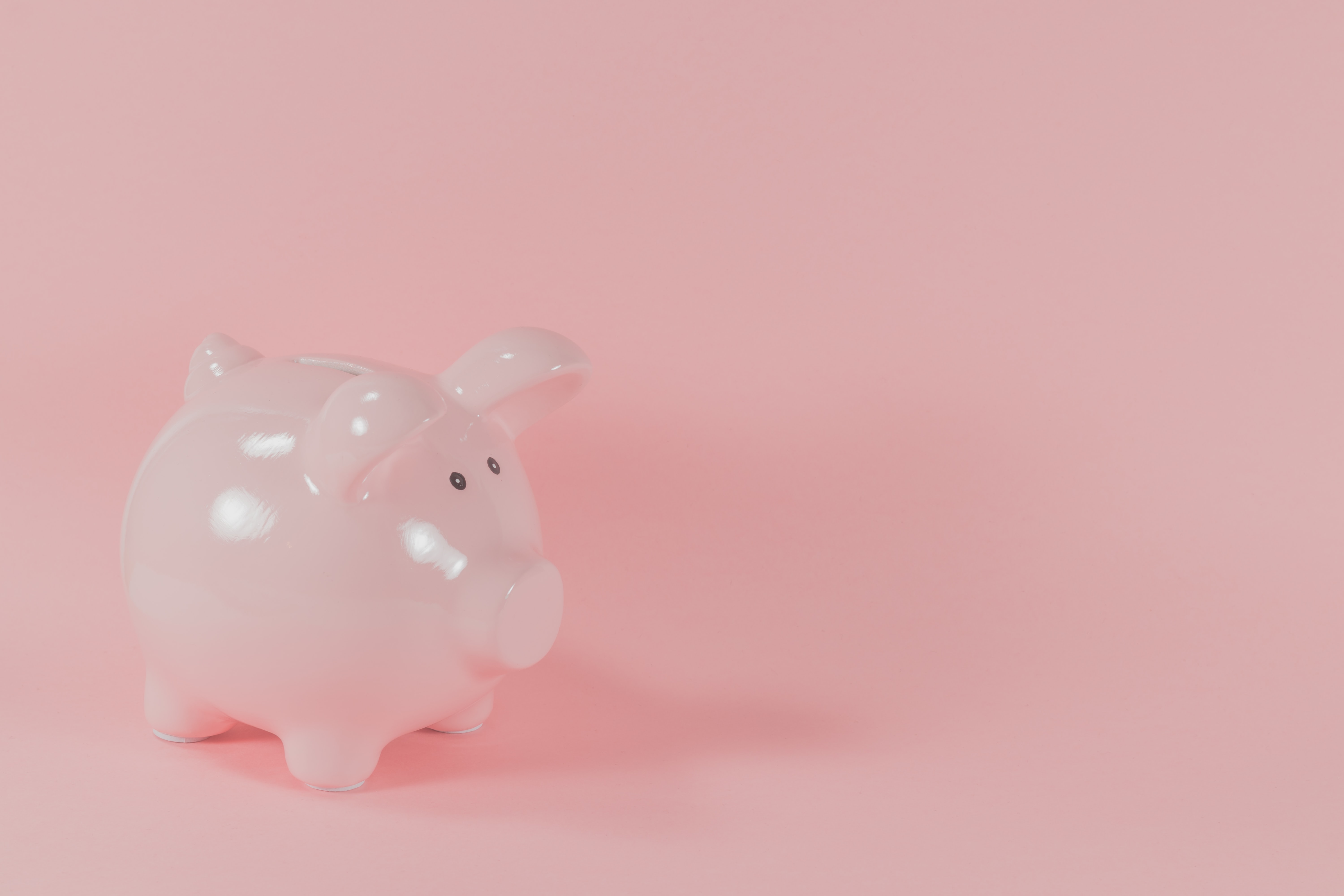 pink piggy bank