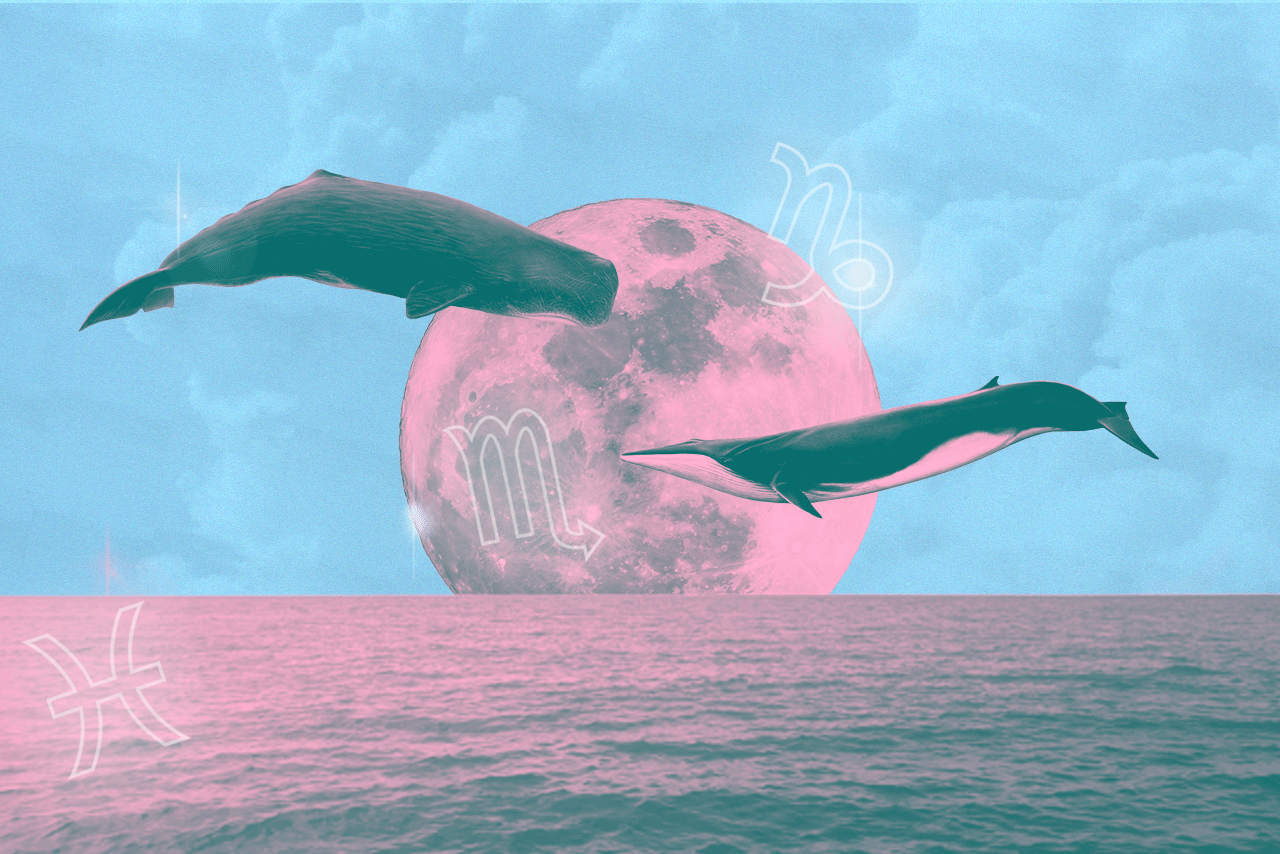 Signs Of The Times?width=287&height=192&fit=crop&auto=webp&dpr=4