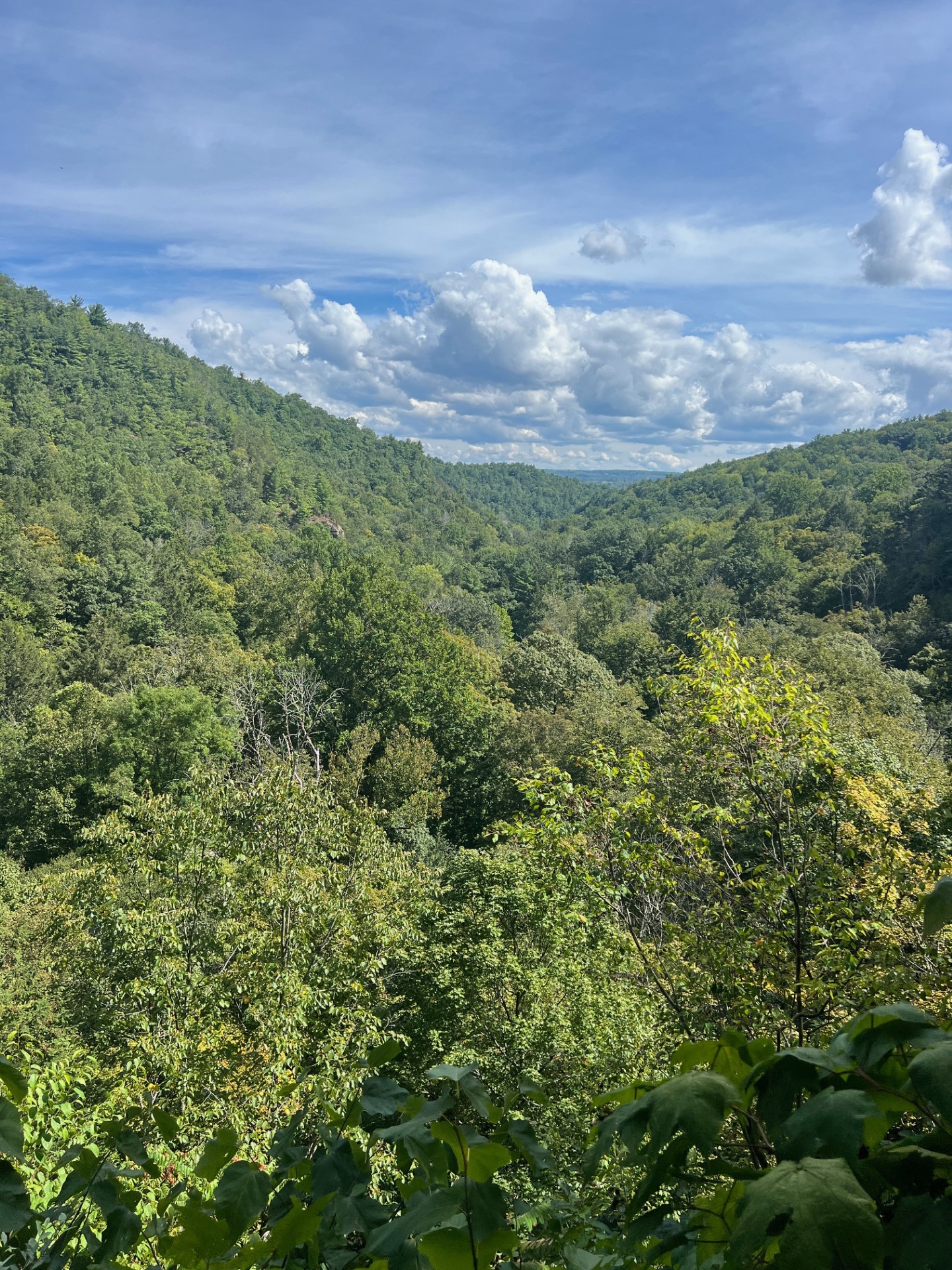 My view from the very top of Treman Park