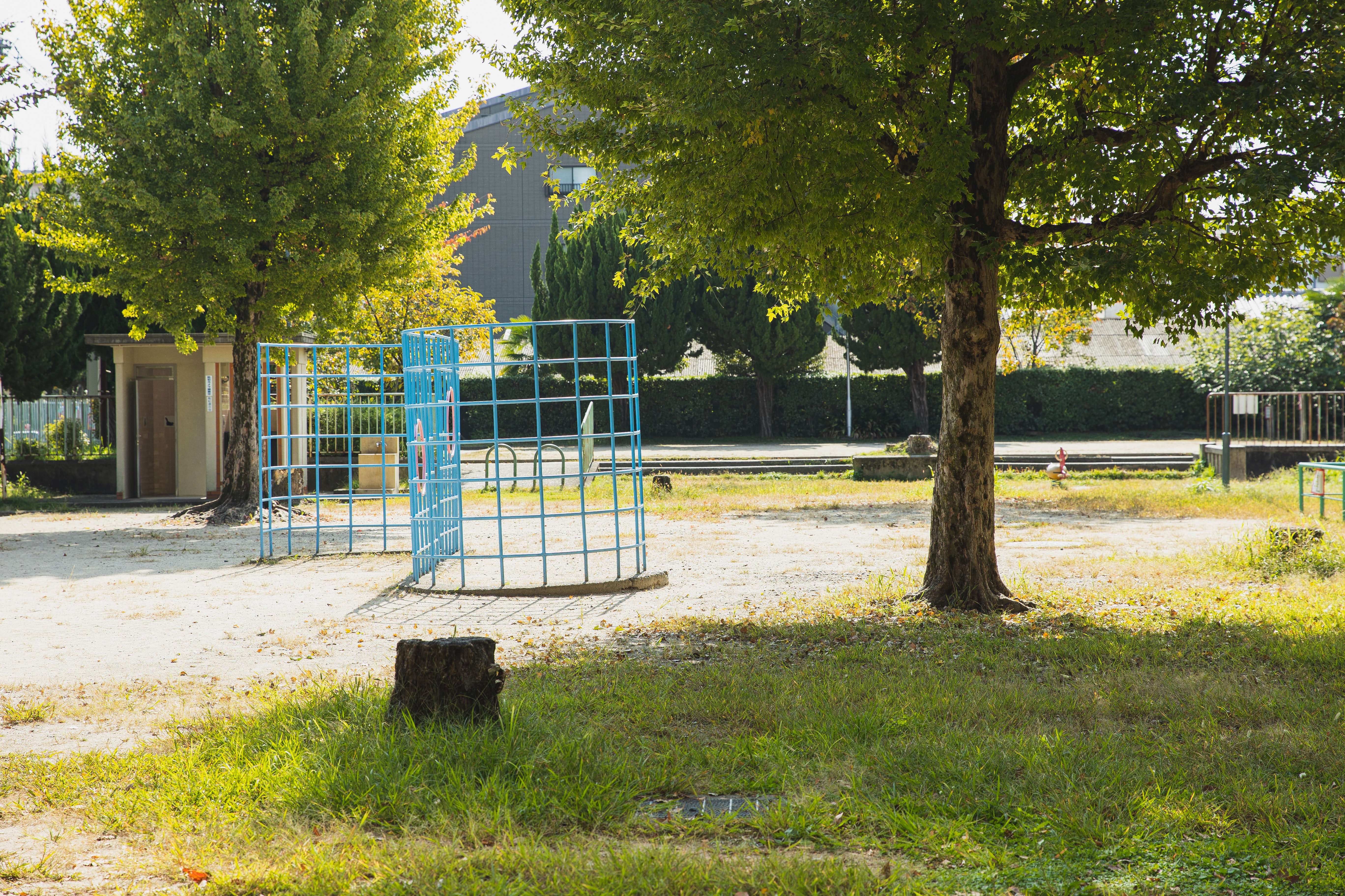 white metal fence near green trees
