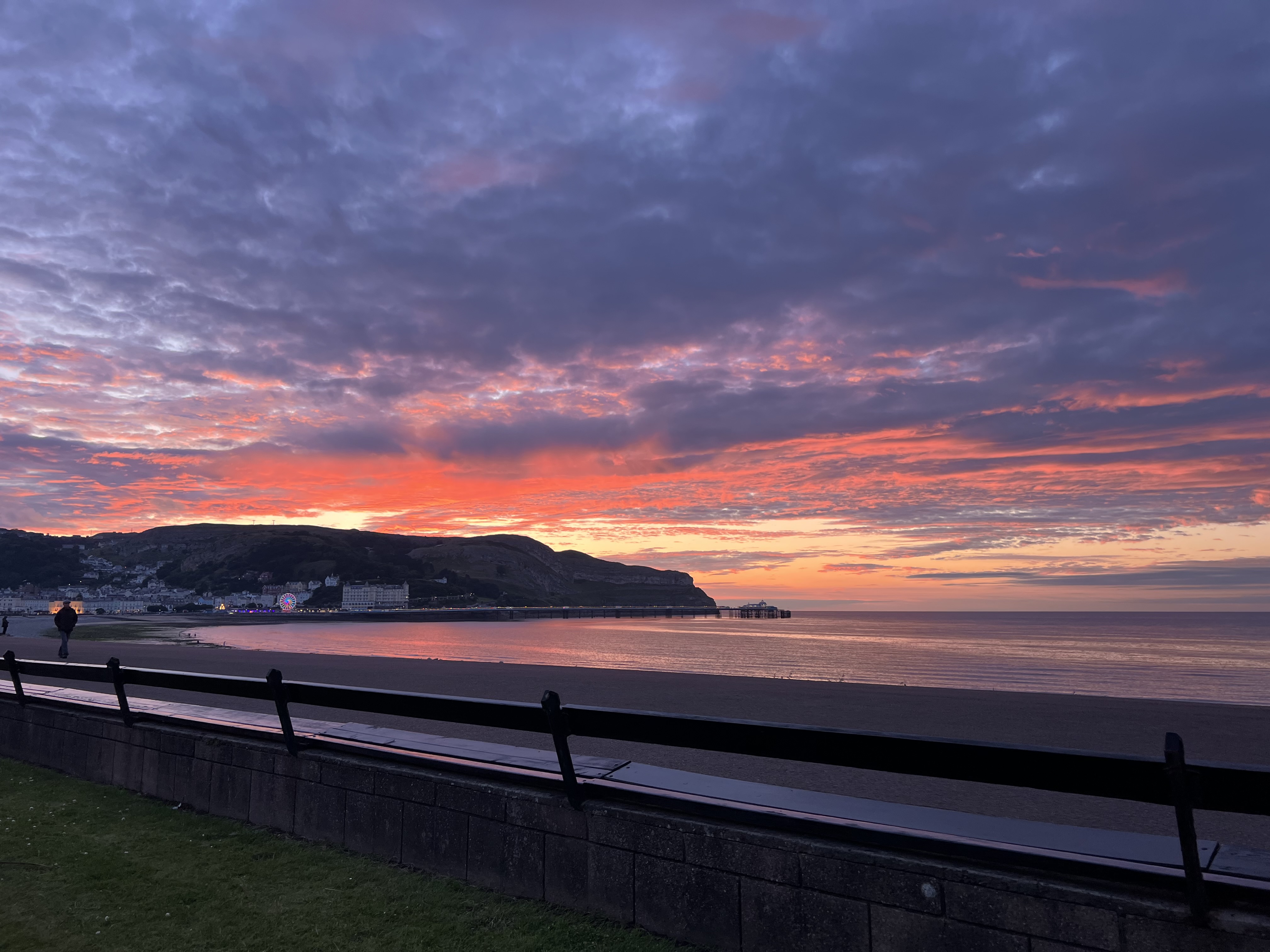 img 1608jpegjpg by Emily Carr?width=698&height=466&fit=crop&auto=webp&dpr=4