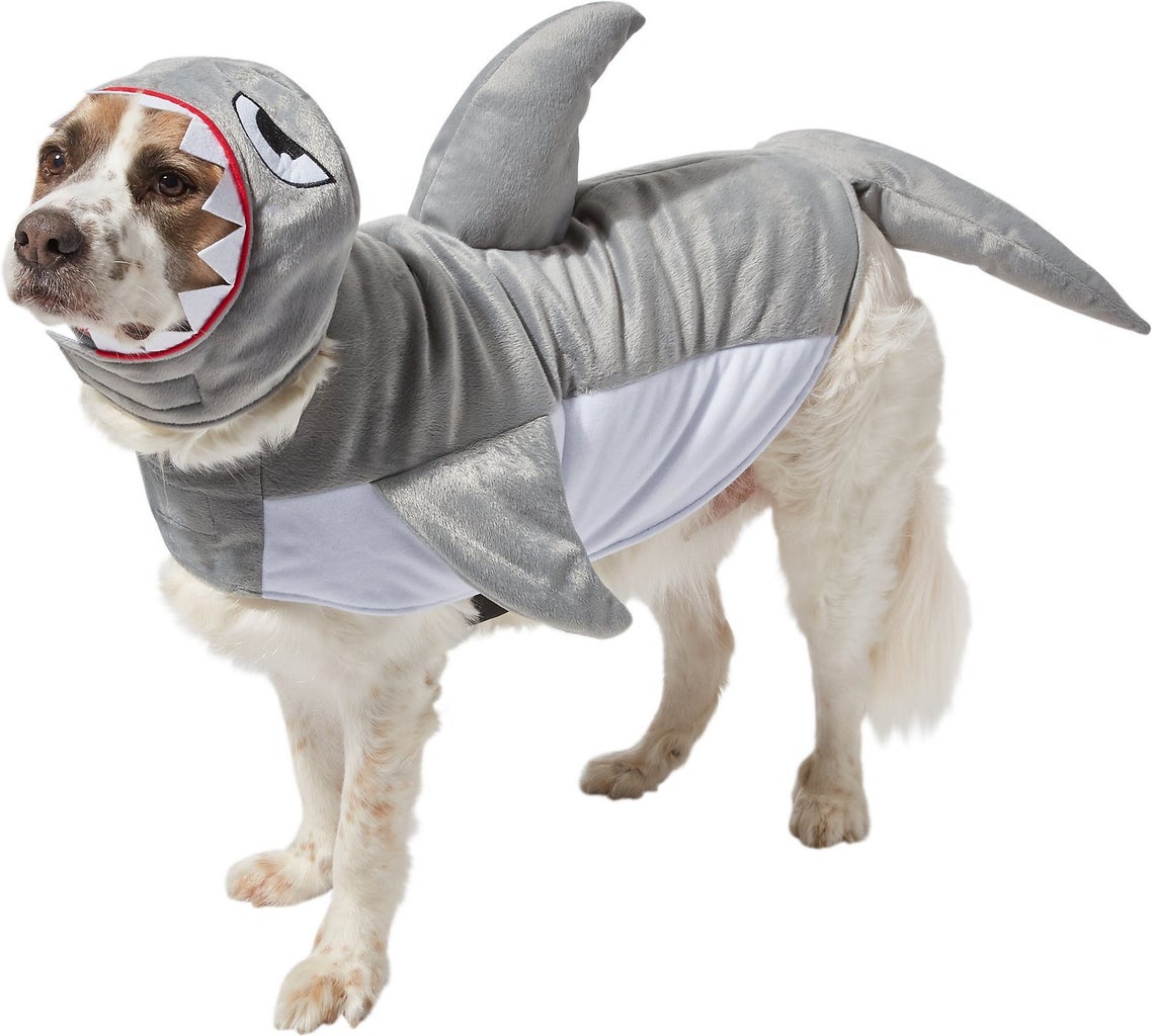shark dog and cat costume