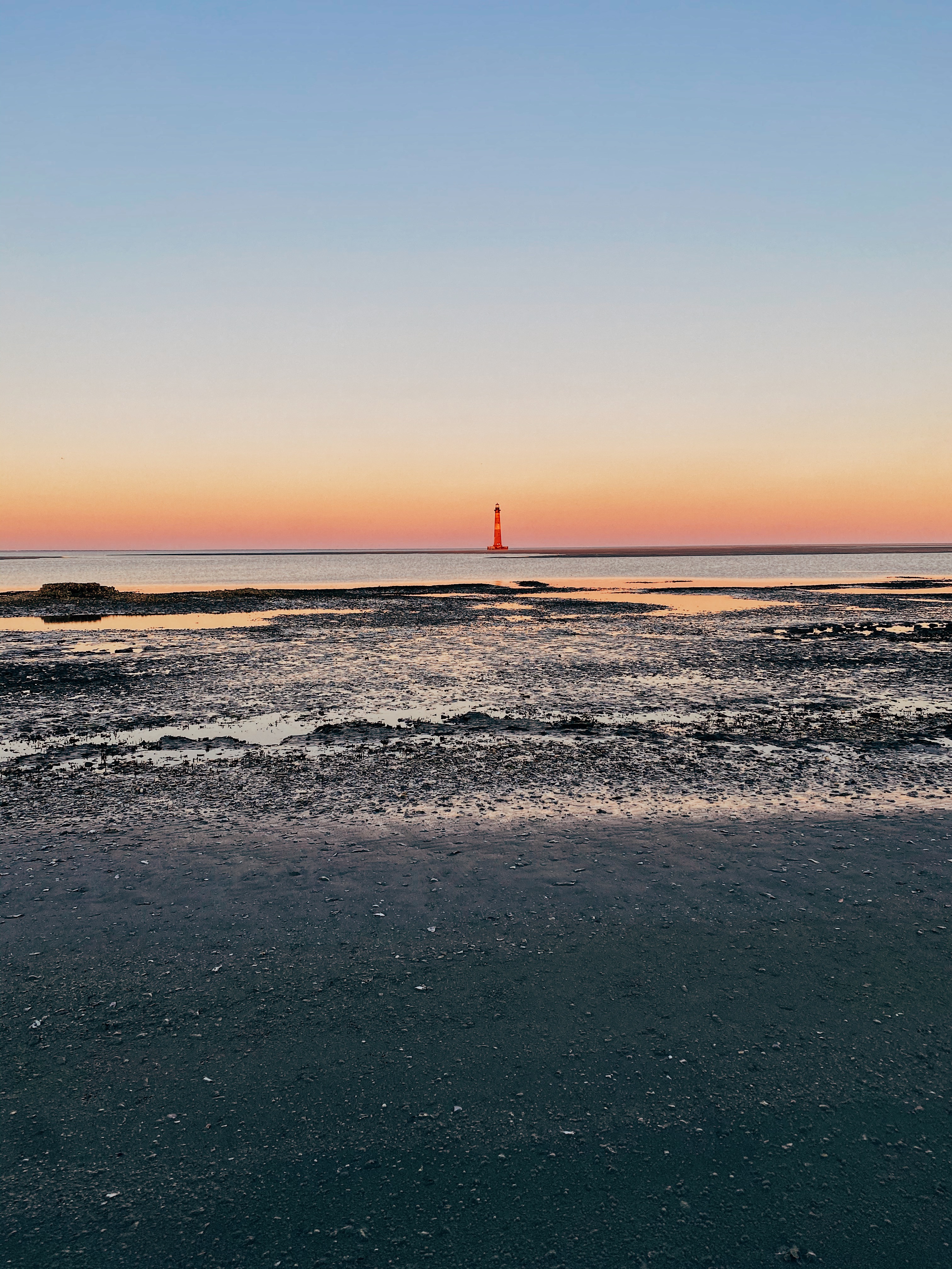 img 2768jpg by Kiley Pettit