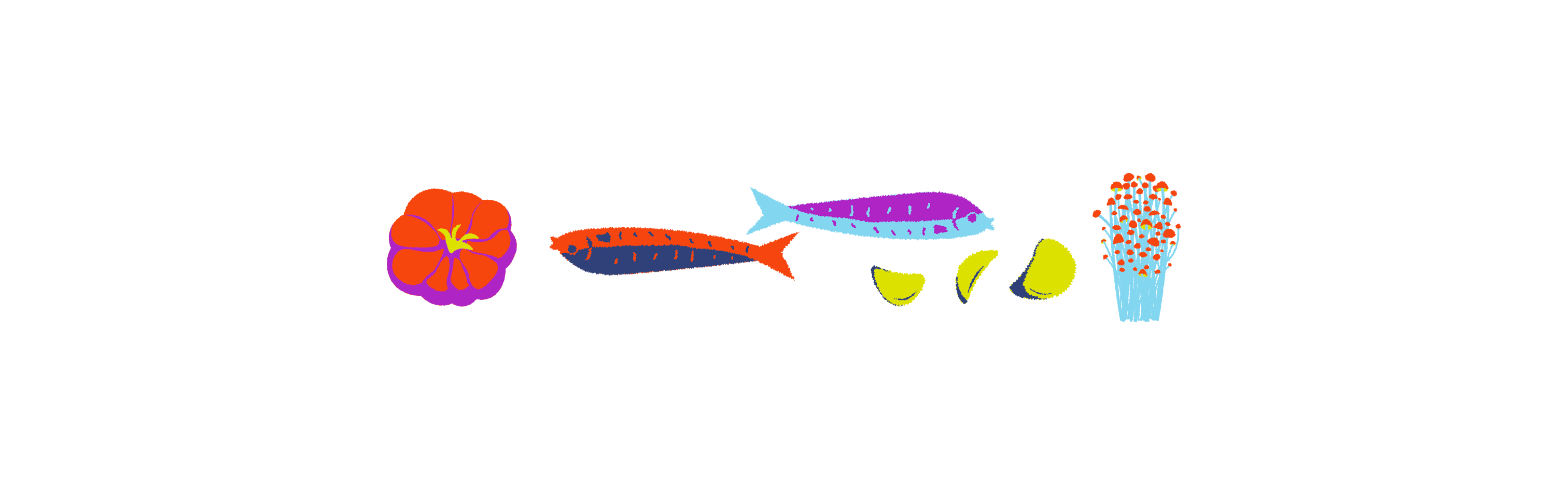 test transparent?width=698&height=466&fit=crop&auto=webp&dpr=4