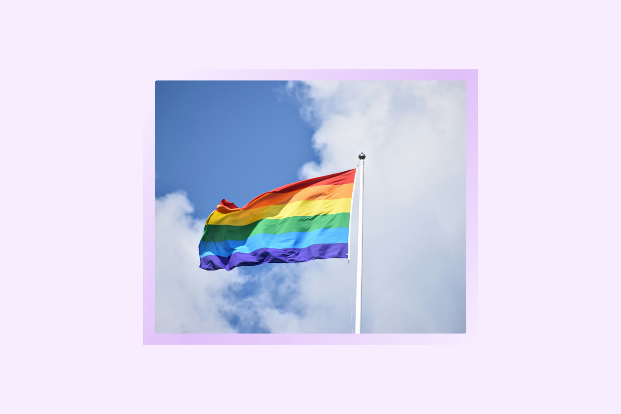 lgbtq hotline shutdown