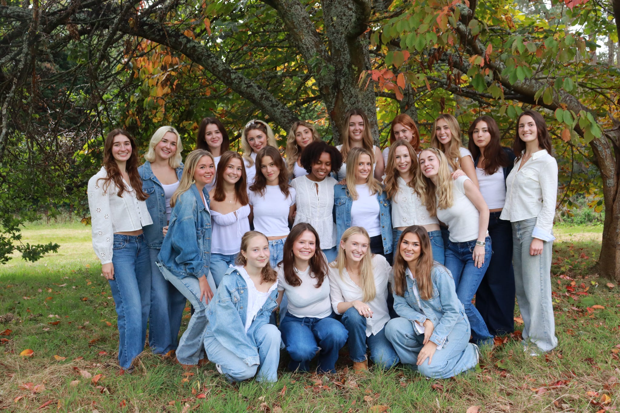 20250930 125258 8007f7jpegjpg by Stella Kekalos?width=698&height=466&fit=crop&auto=webp&dpr=4