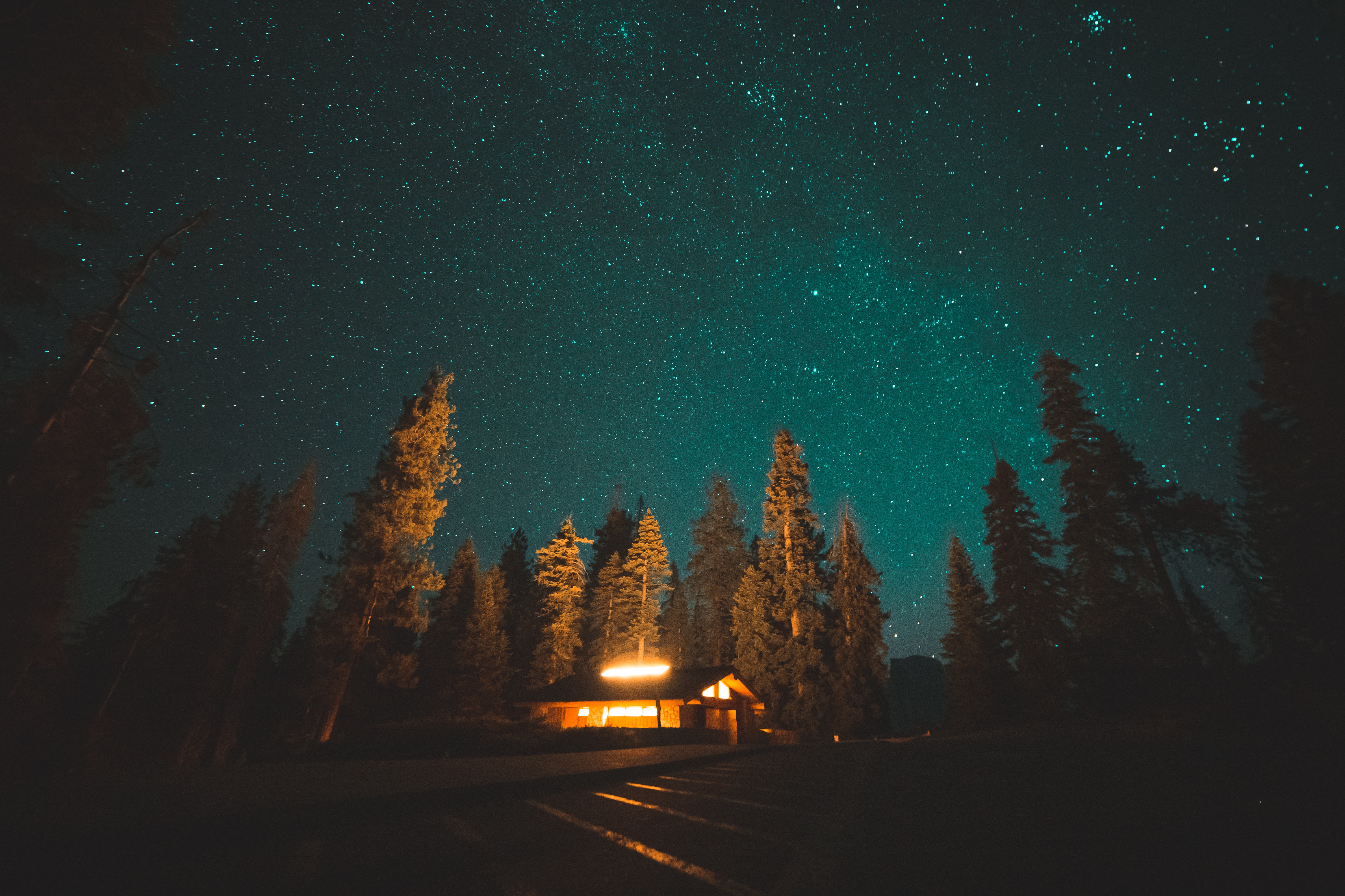 Cabin and trees under a starry night sky