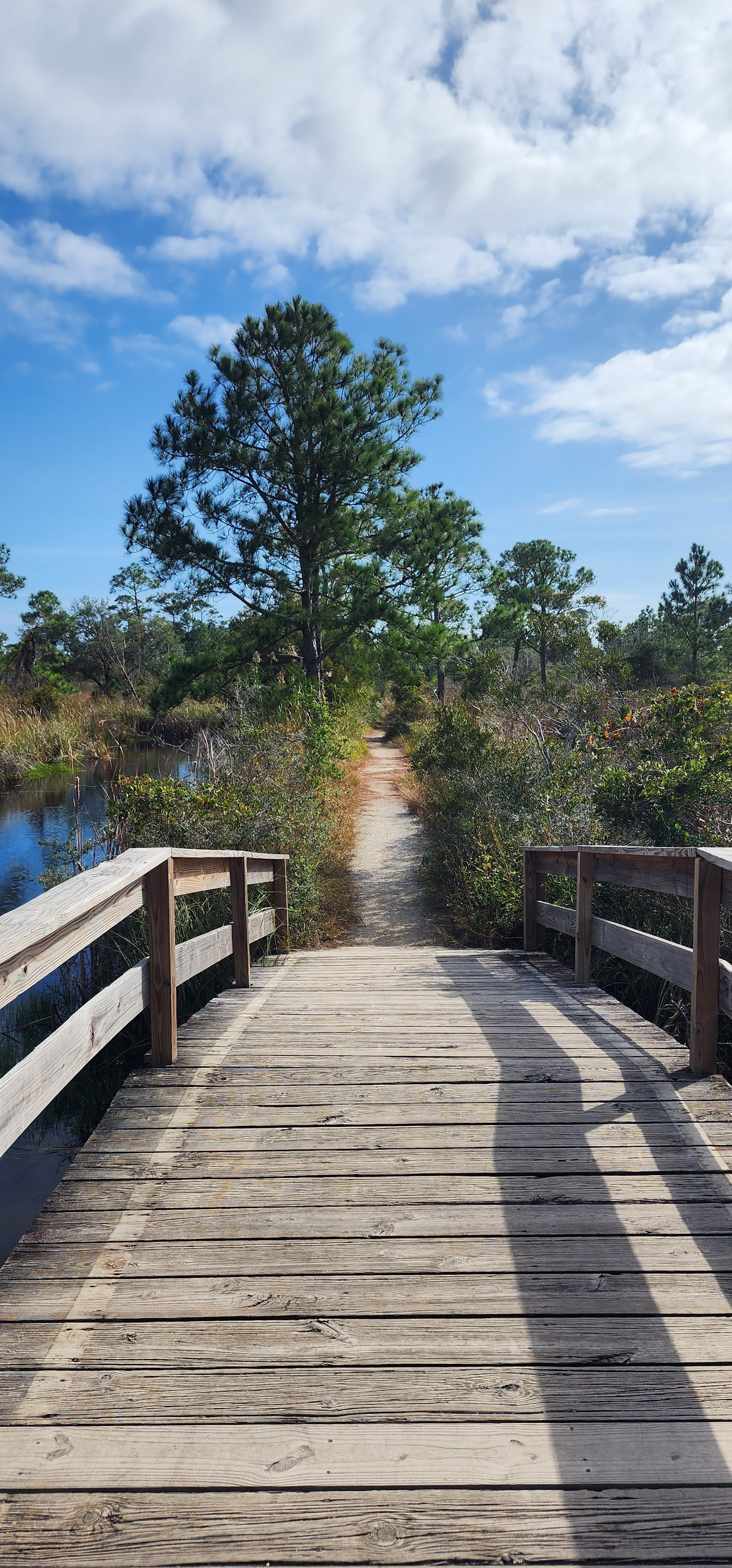 trail in florida park