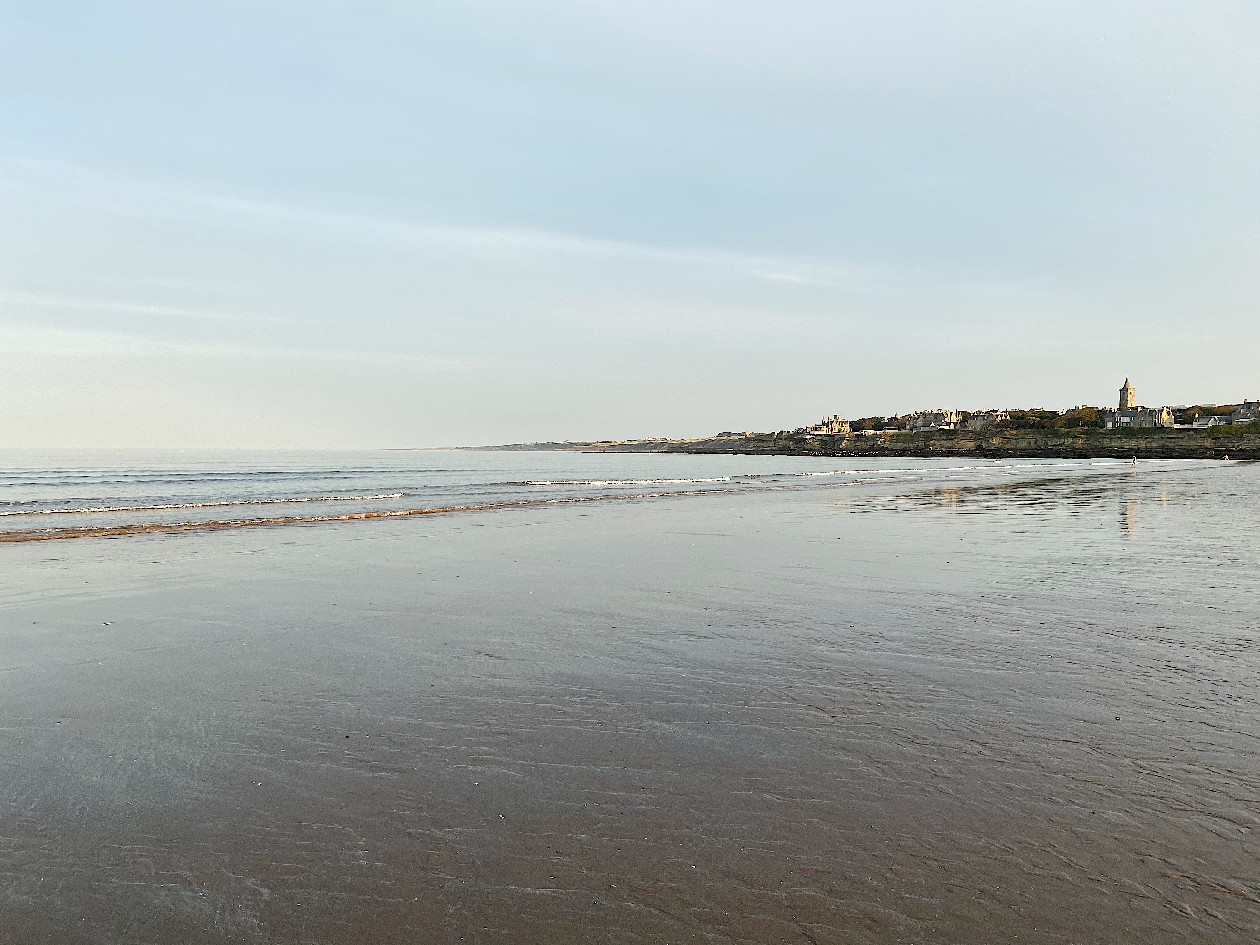 61fe7faf00c1471ab00c5685aa57cb595ab3c4e8cbd34c6b89a1a99cba88df16jpg by Peyton Sarrail