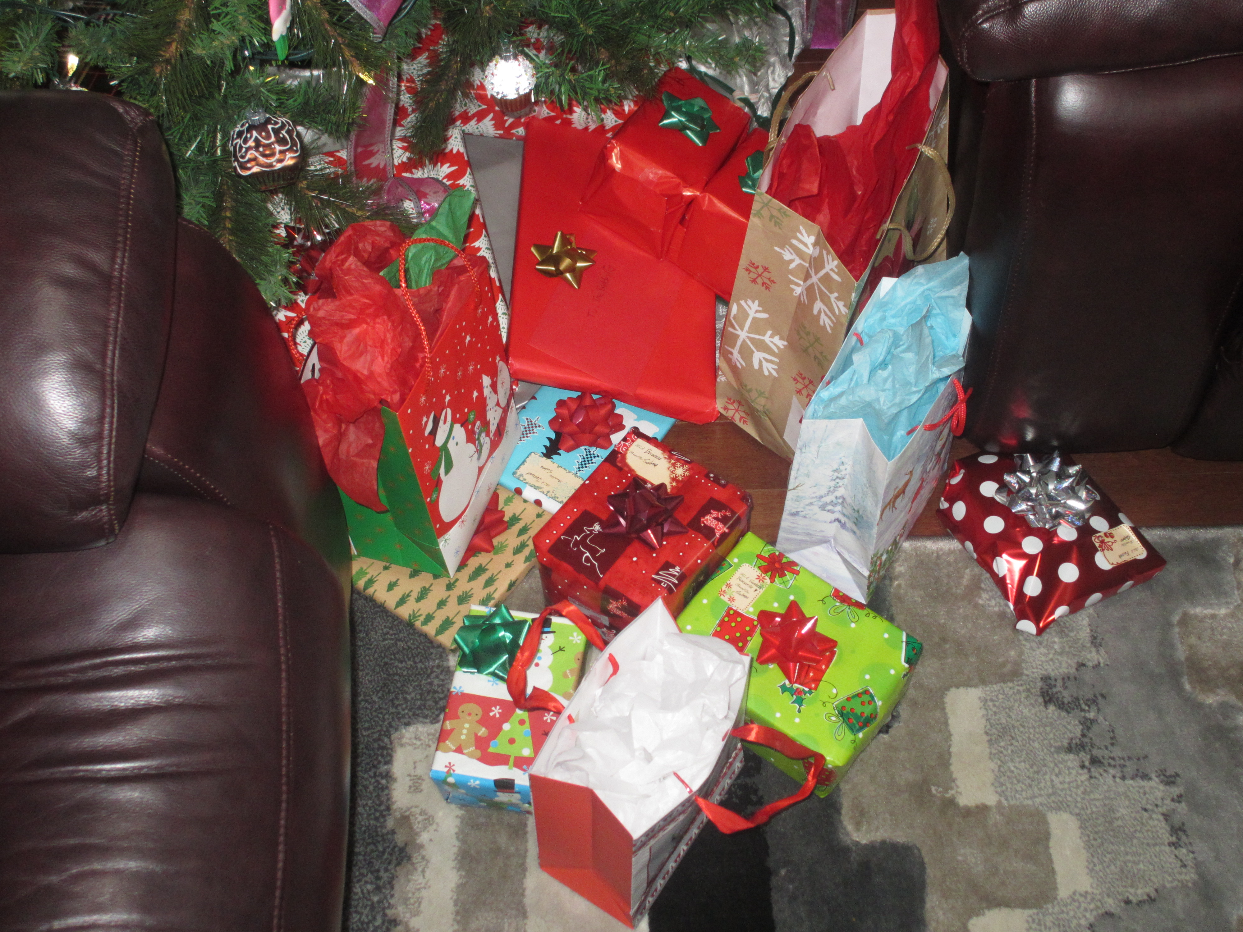 img 4432jpg by Salma Hamid?width=698&height=466&fit=crop&auto=webp&dpr=4