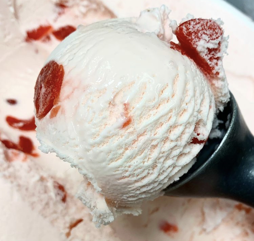 img 7558jpg by Macy Miskiewicz?width=698&height=466&fit=crop&auto=webp&dpr=4