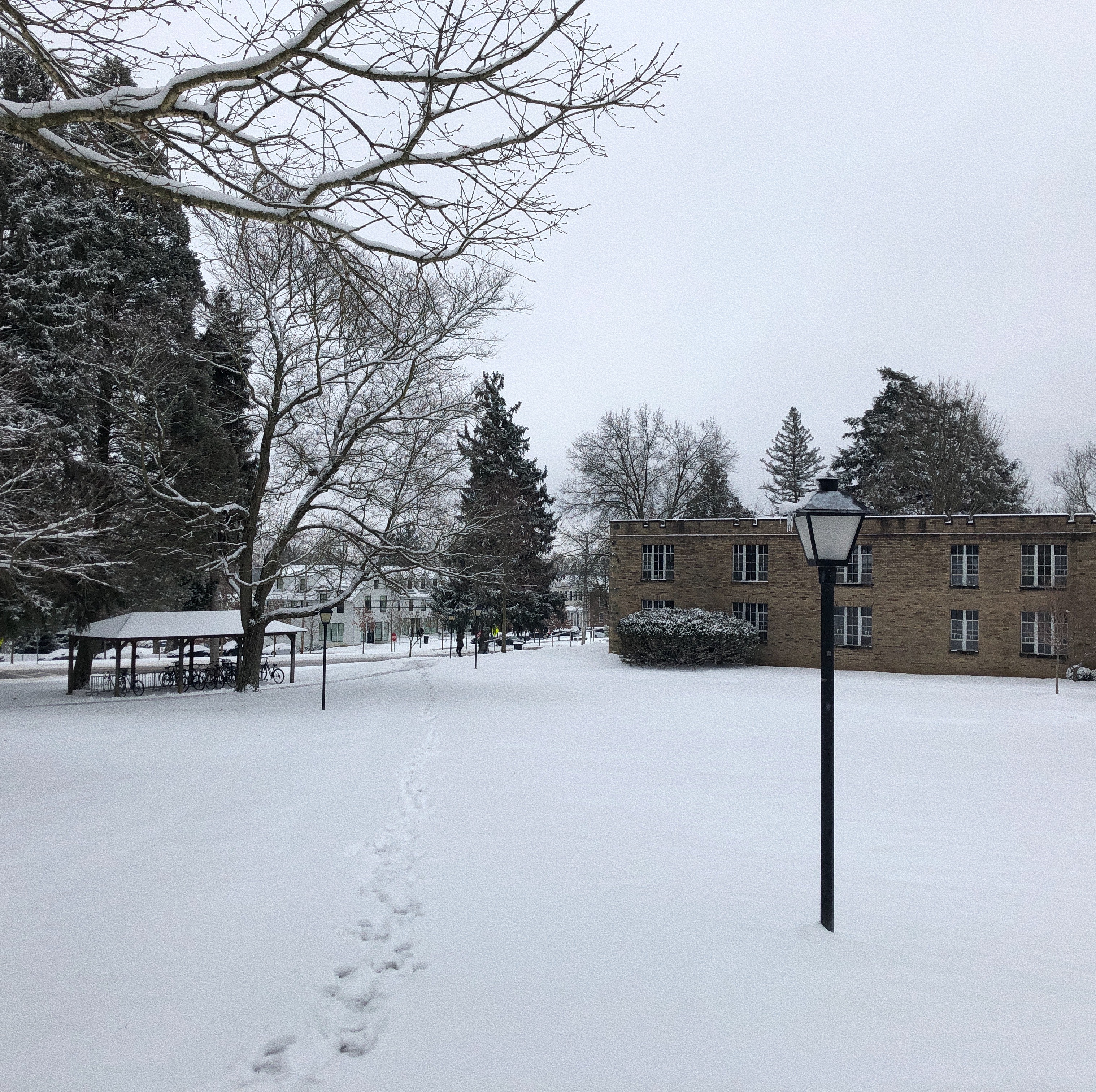 nortonsnowjpg by Shea Humphries?width=698&height=466&fit=crop&auto=webp&dpr=4