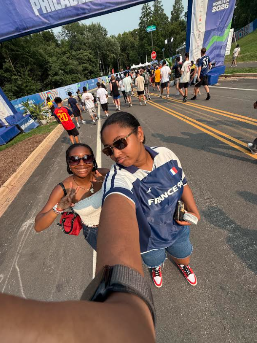 fifa fan festival world cup