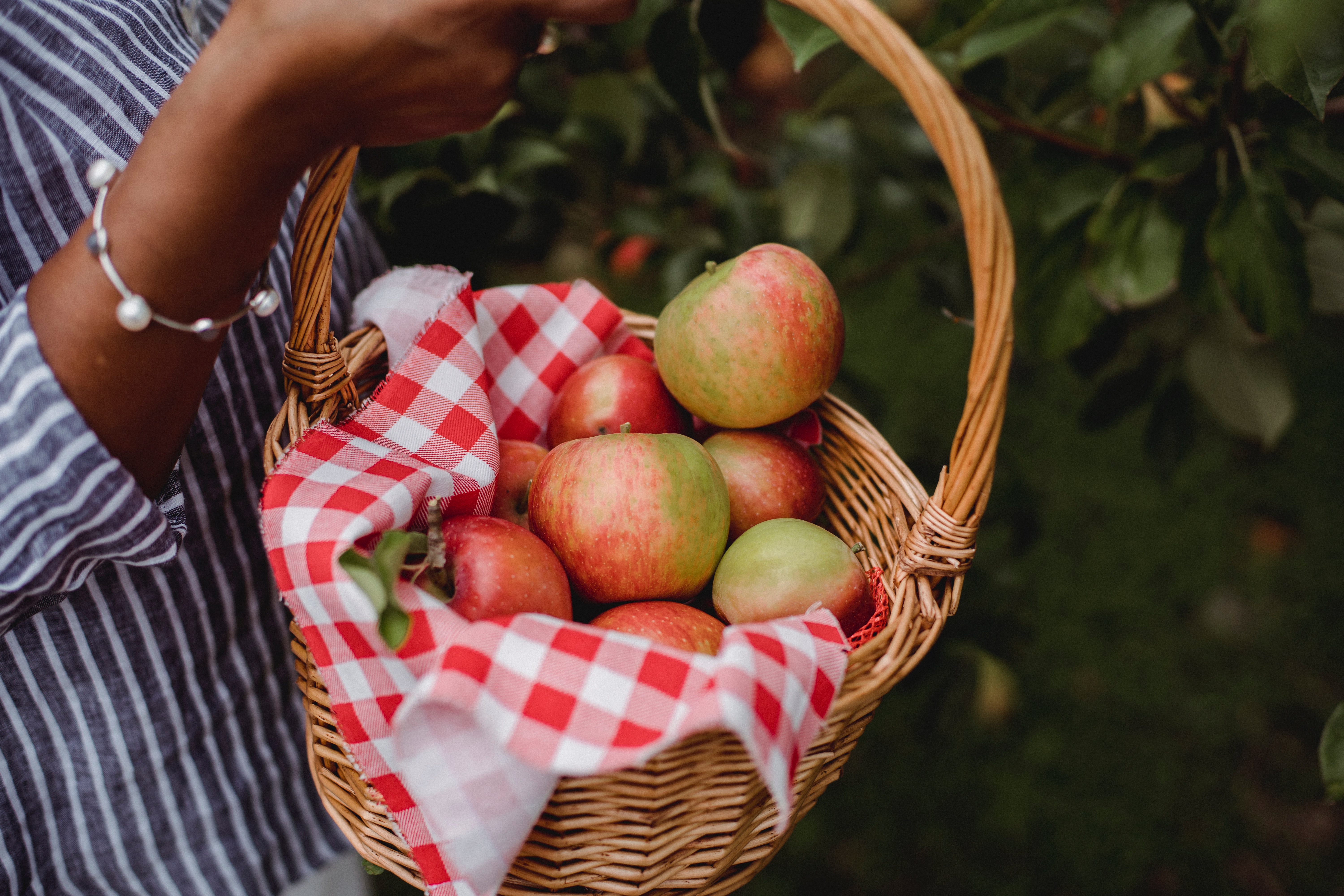 Basket of apples