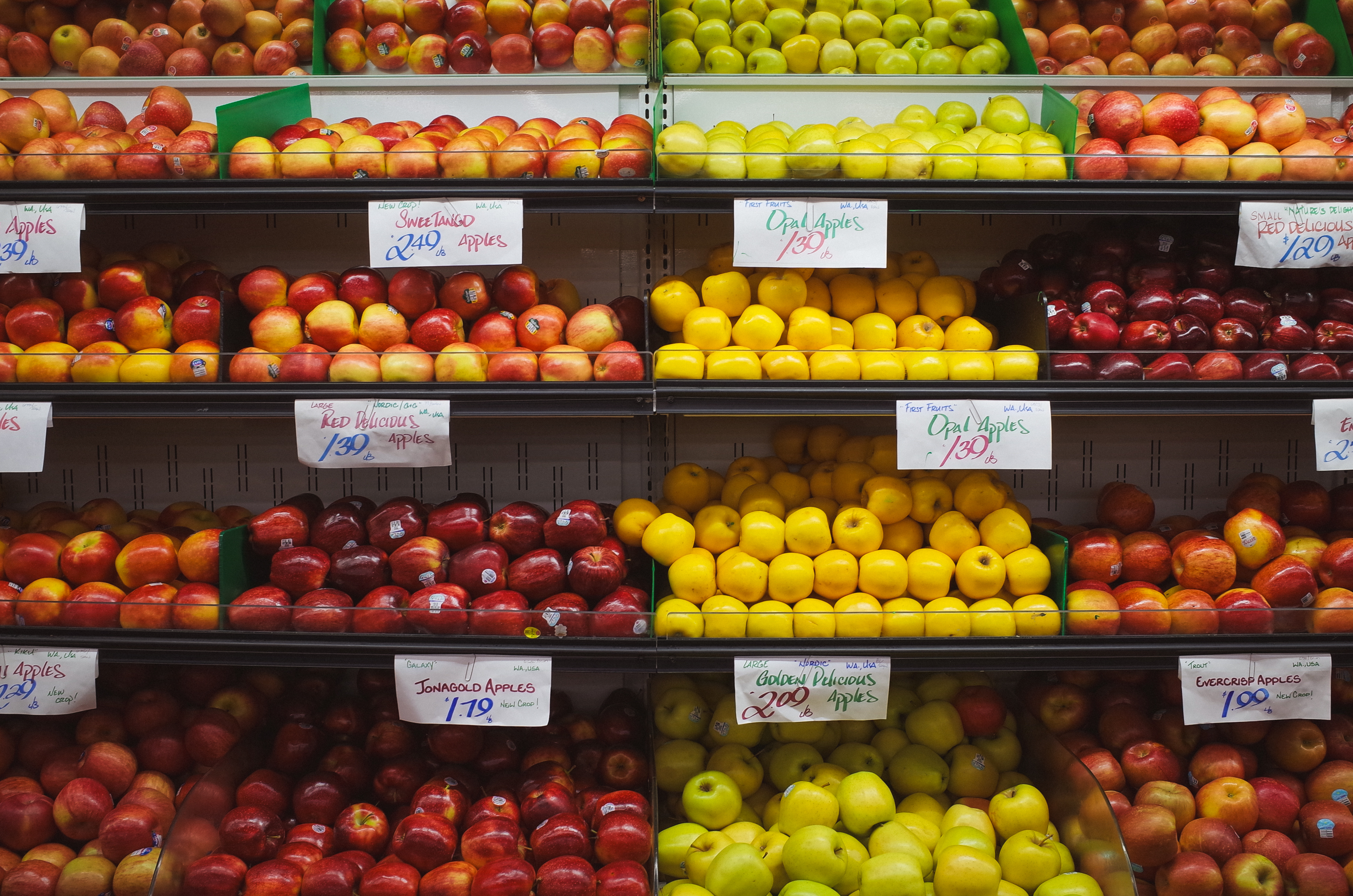 coverjpg by Abby Wang?width=698&height=466&fit=crop&auto=webp&dpr=4