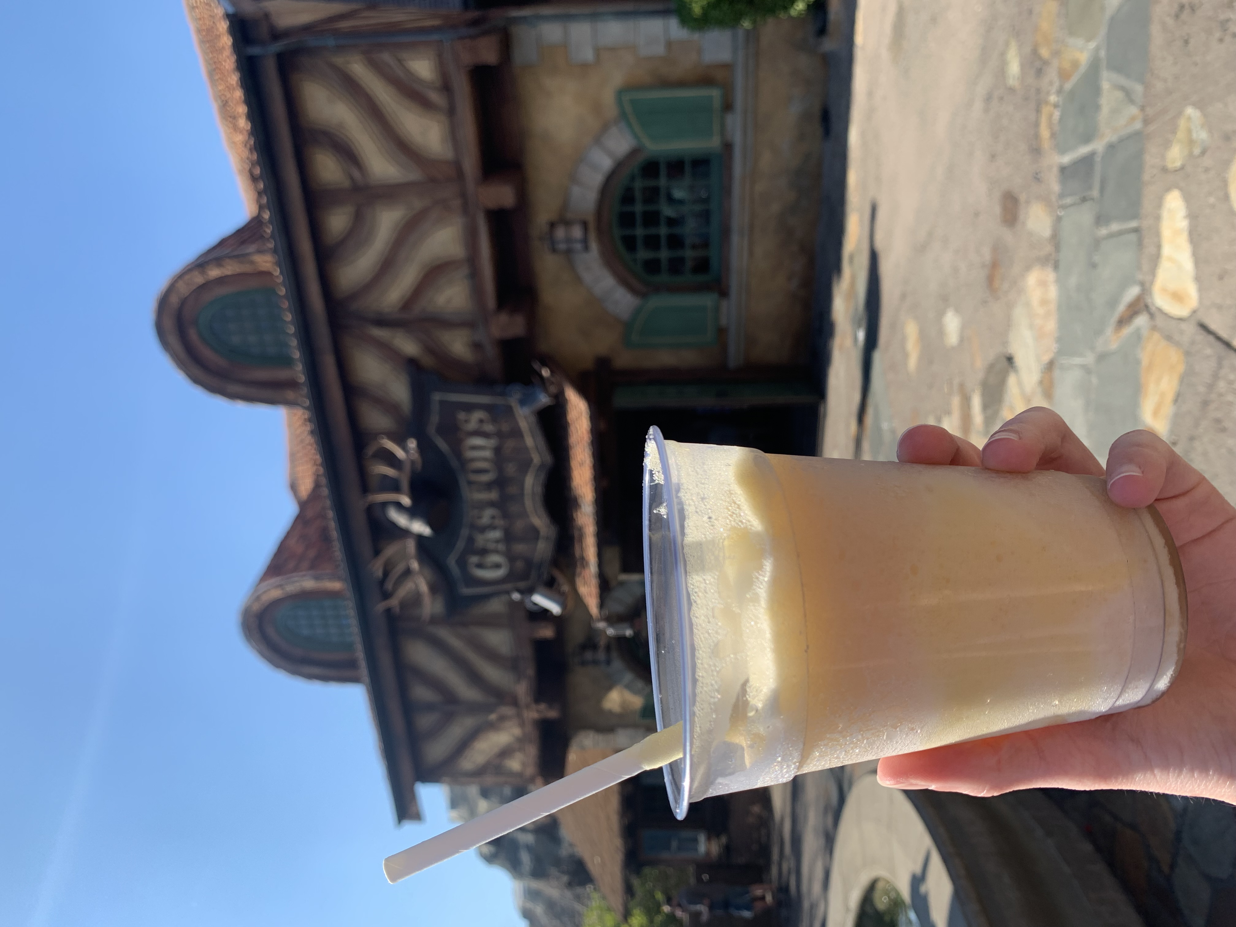 Frozen drink in Magic Kingdom