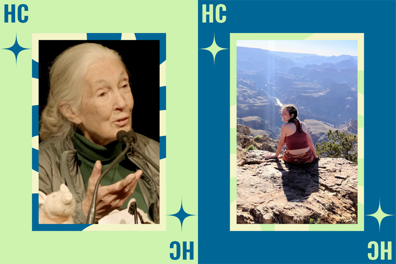 jane goodall?width=698&height=466&fit=crop&auto=webp&dpr=4