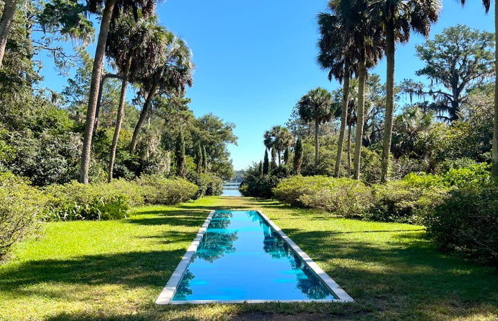 reflection pond surrounded by trees