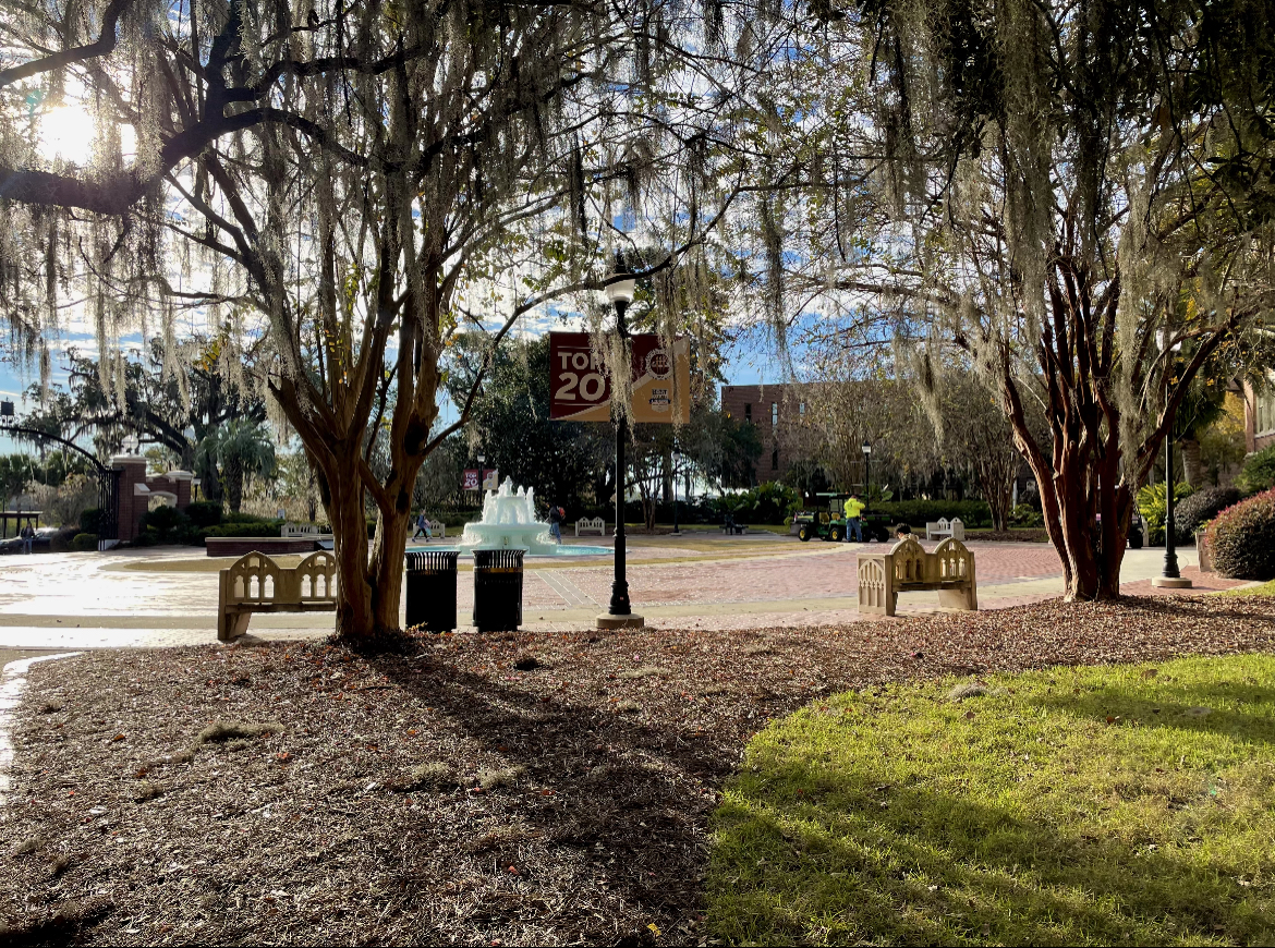 img 67cb328ede4b1jpegjpg by Bella Bozied