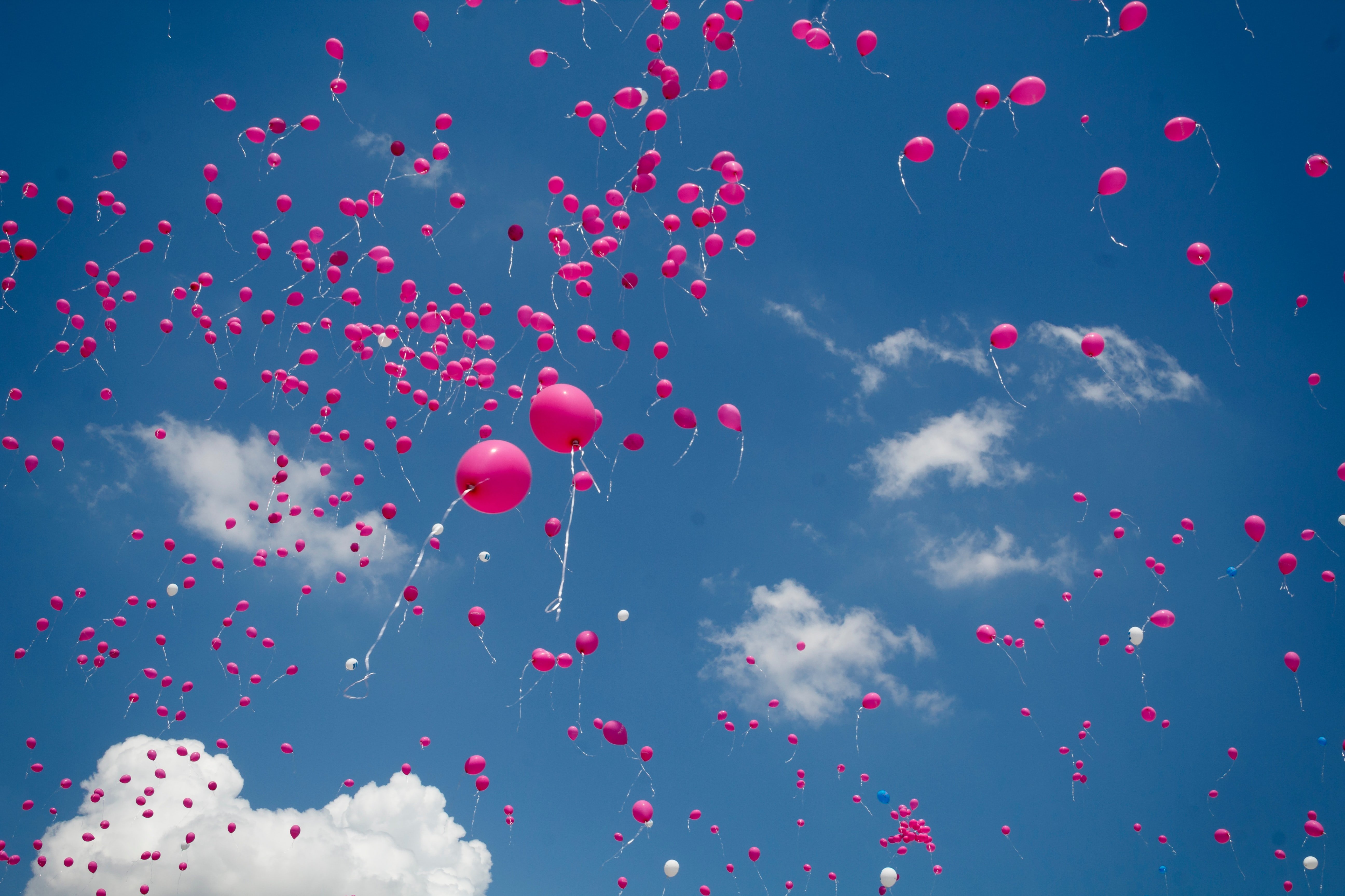 Pink balloons floating in air by Peter Boccia?width=698&height=466&fit=crop&auto=webp&dpr=4