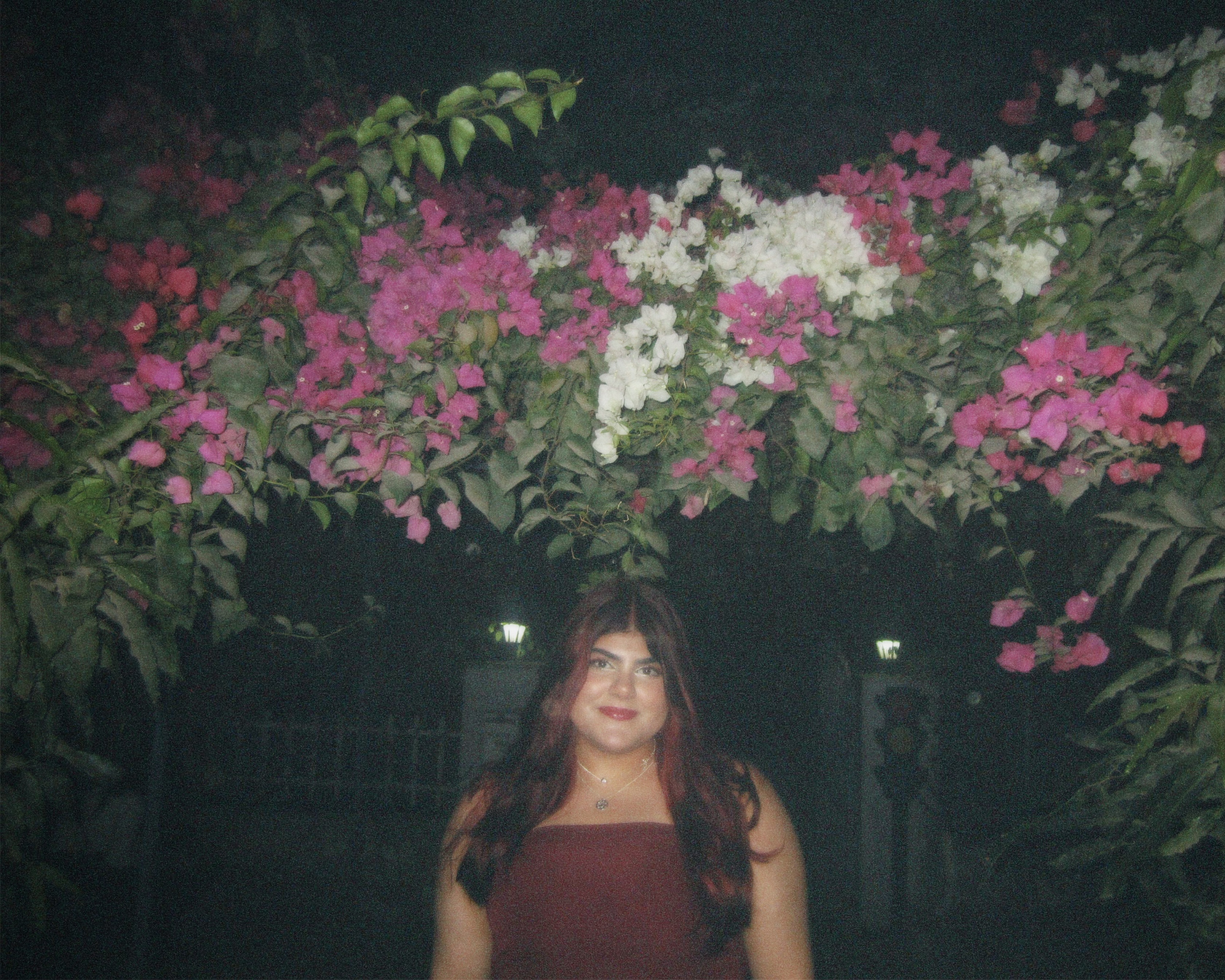 A picture of a girl (me) standing under an arch of bougainvillea.