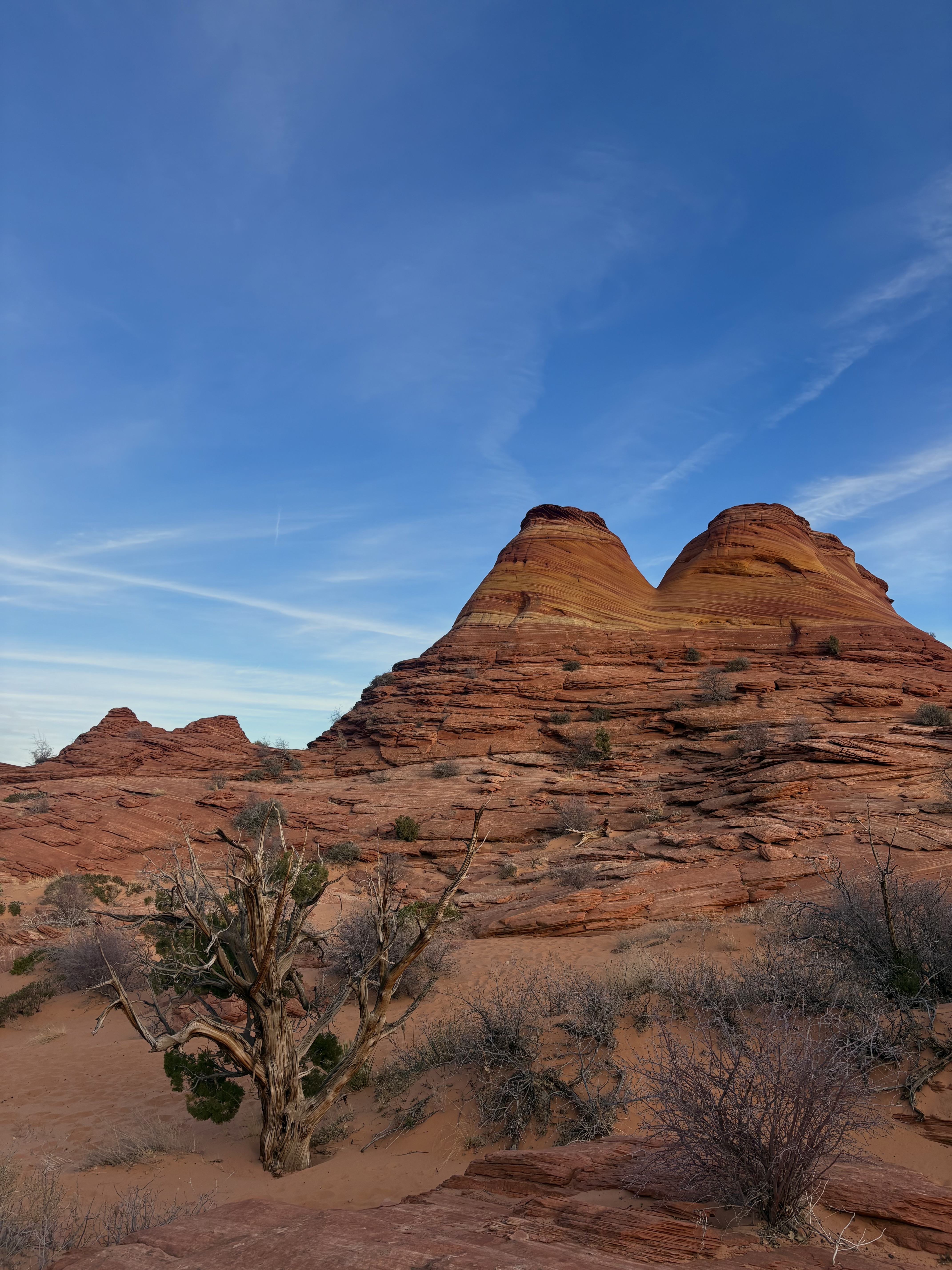 Arizona