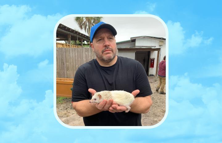 This Shy Kevin James Meme Is Taking Over Social Media & I Can't Stop