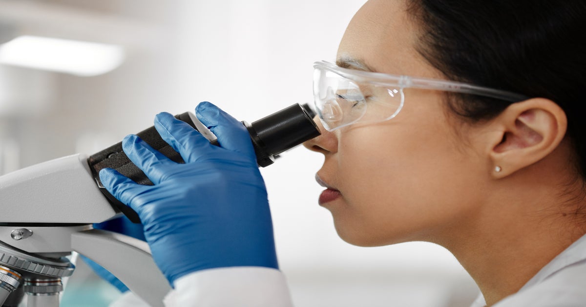 A Rediscovered Ovarian Structure Sheds Light on Gaps in Women’s Health ...
