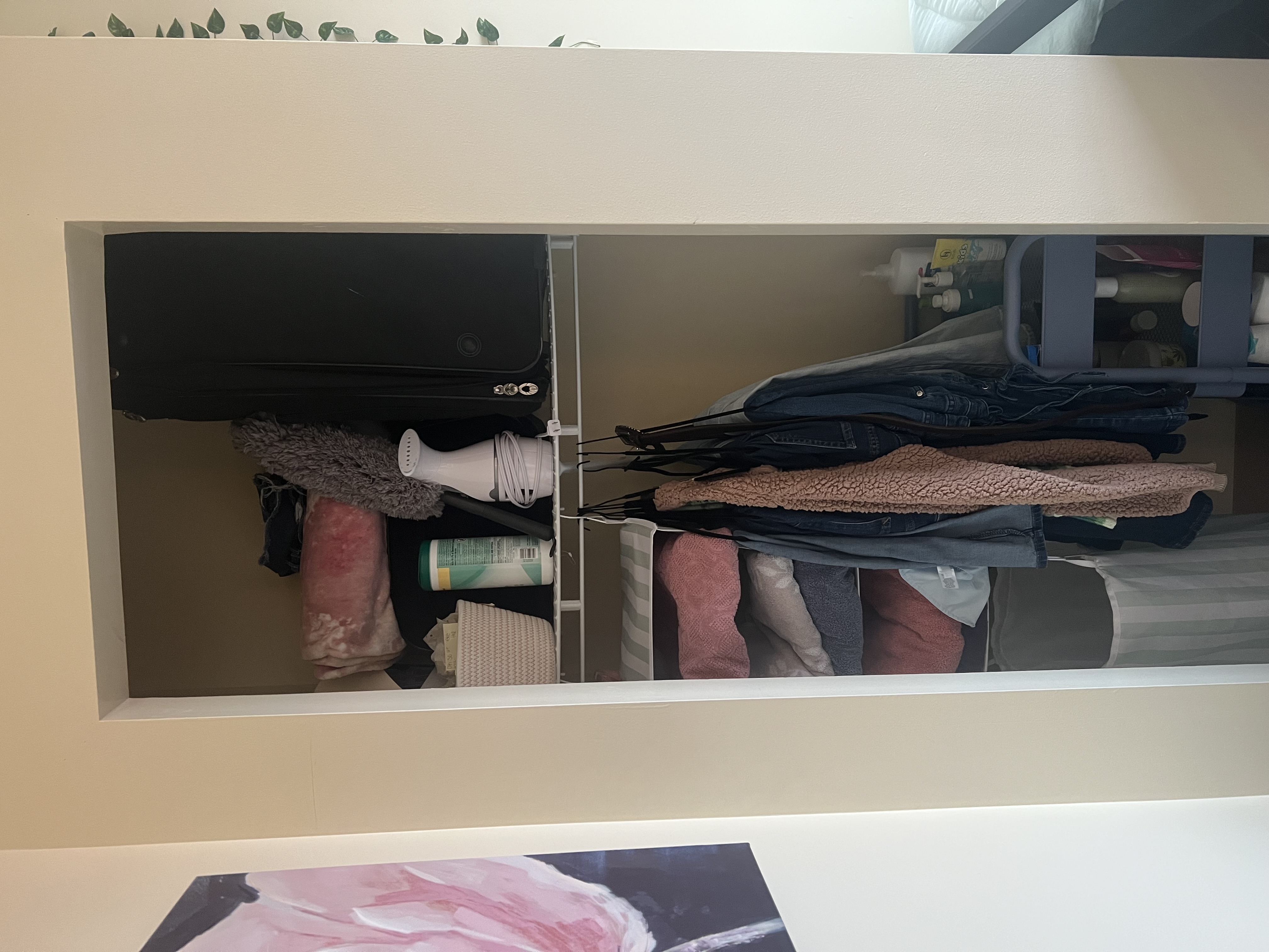 siobhan robinson closet look