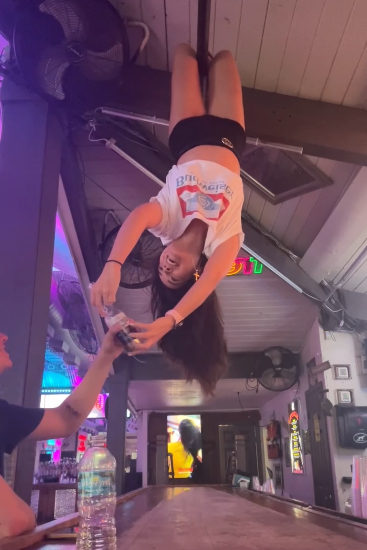 bartender college degree essay