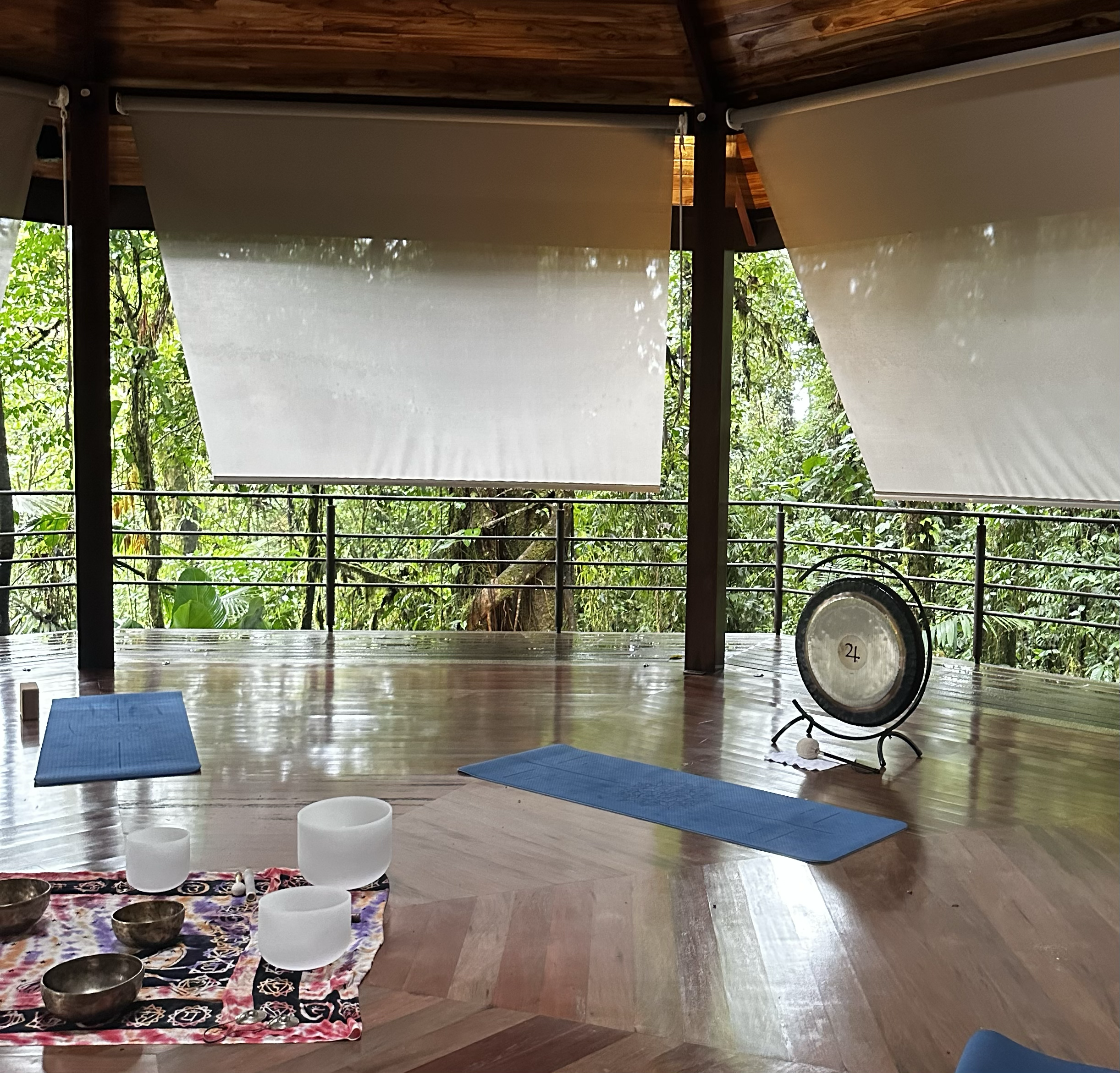 An event including yoga and bunnies in Orlando. I bring up a trip to Costa Rica and this is a picture I took there.