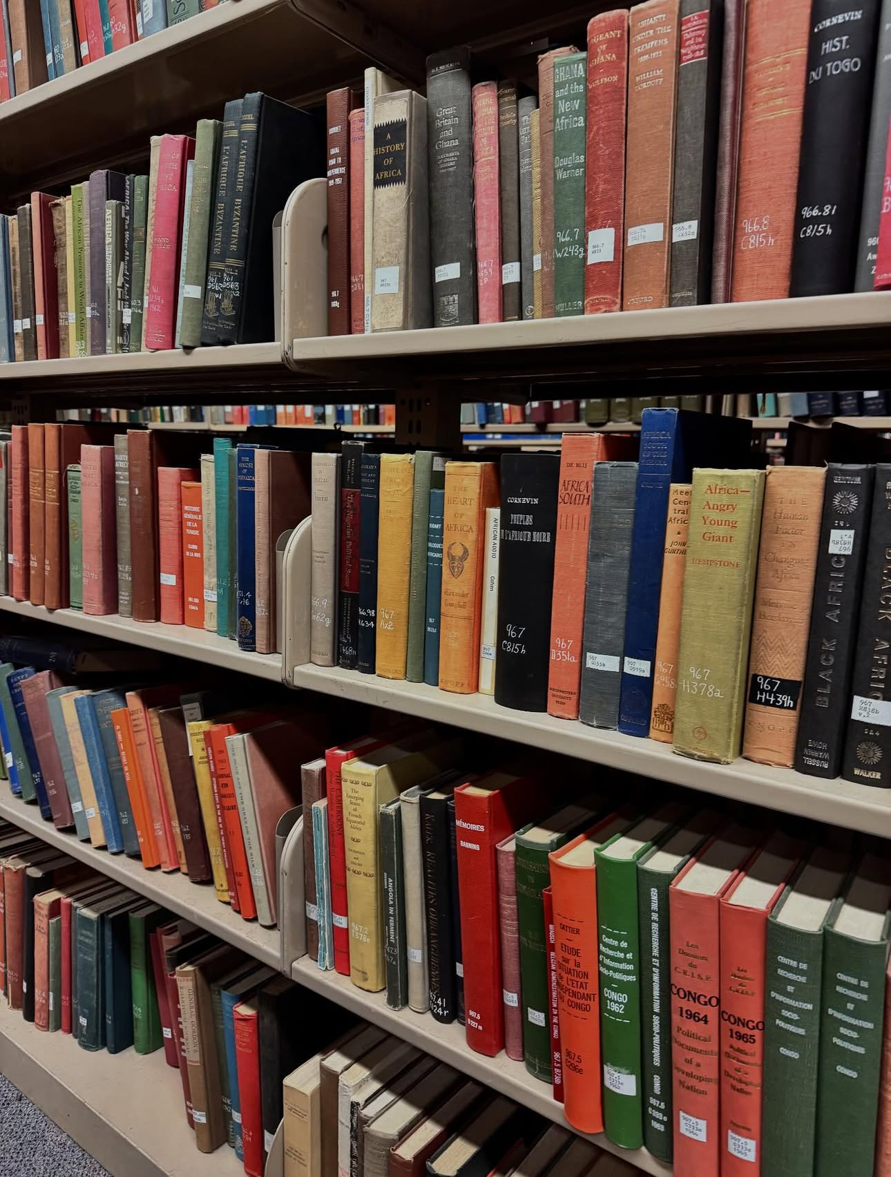 img 8966jpegjpg by Adriana?width=698&height=466&fit=crop&auto=webp&dpr=4