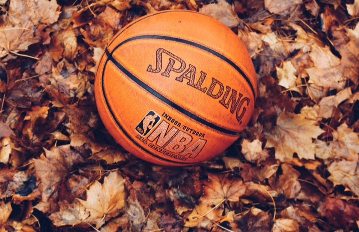 basketball on fall leaves