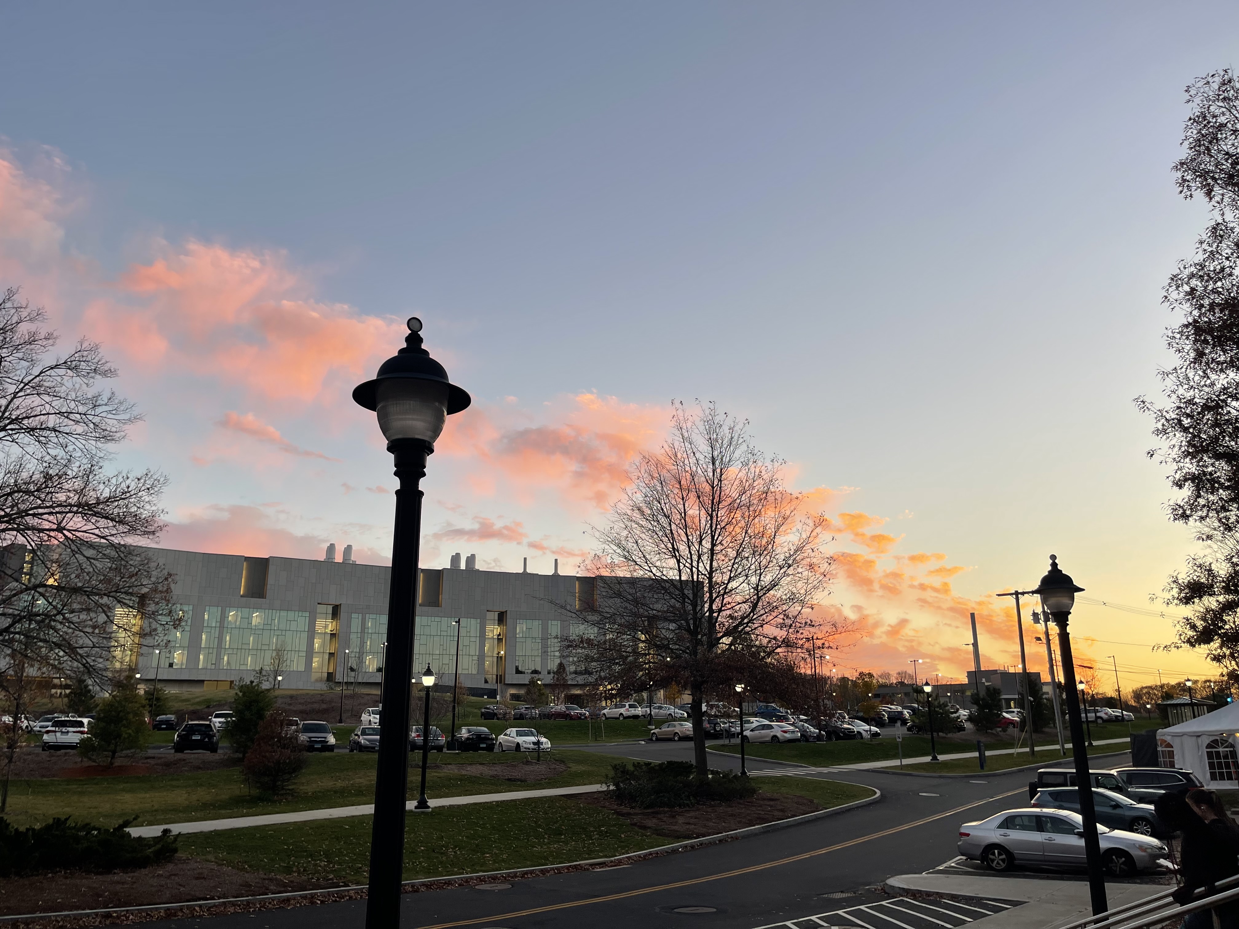 img 7375jpg by Ava Evison?width=698&height=466&fit=crop&auto=webp&dpr=4