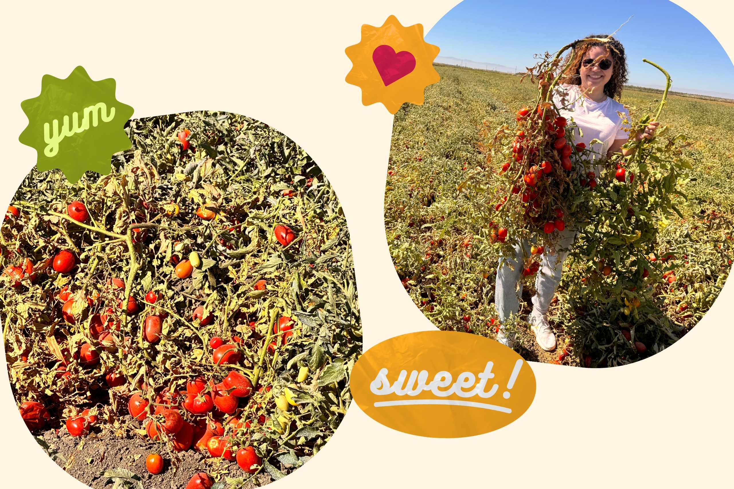 olive garden?width=698&height=466&fit=crop&auto=webp&dpr=4