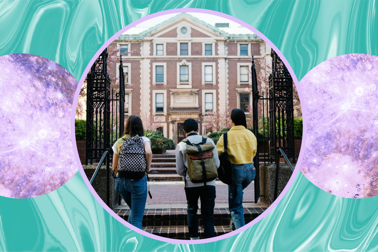 back view of three students walking on a college campus