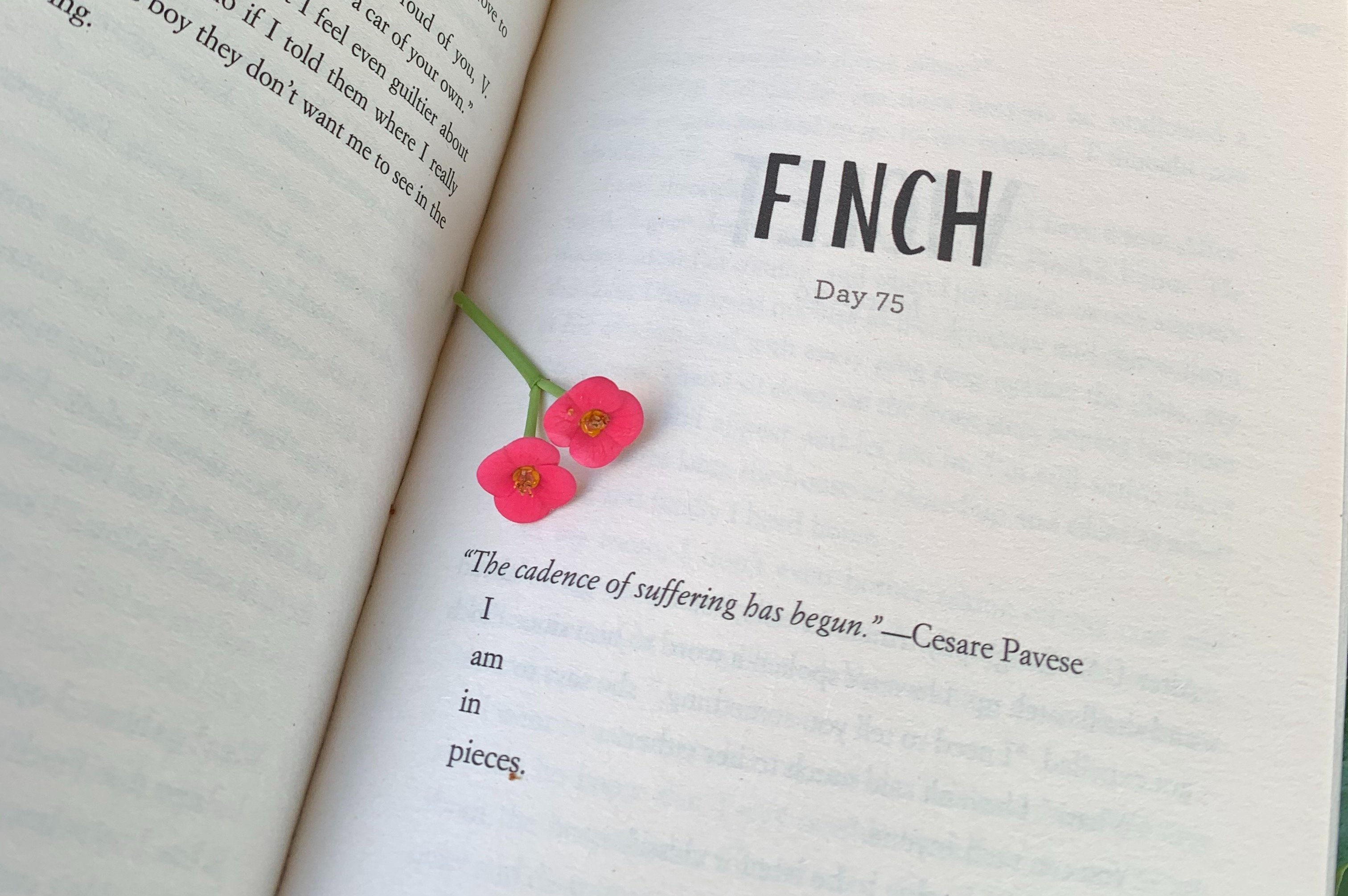 All The Bright Places by Anushka Myndapanda