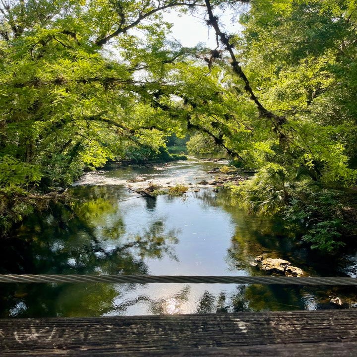 lake at lettuce lake park