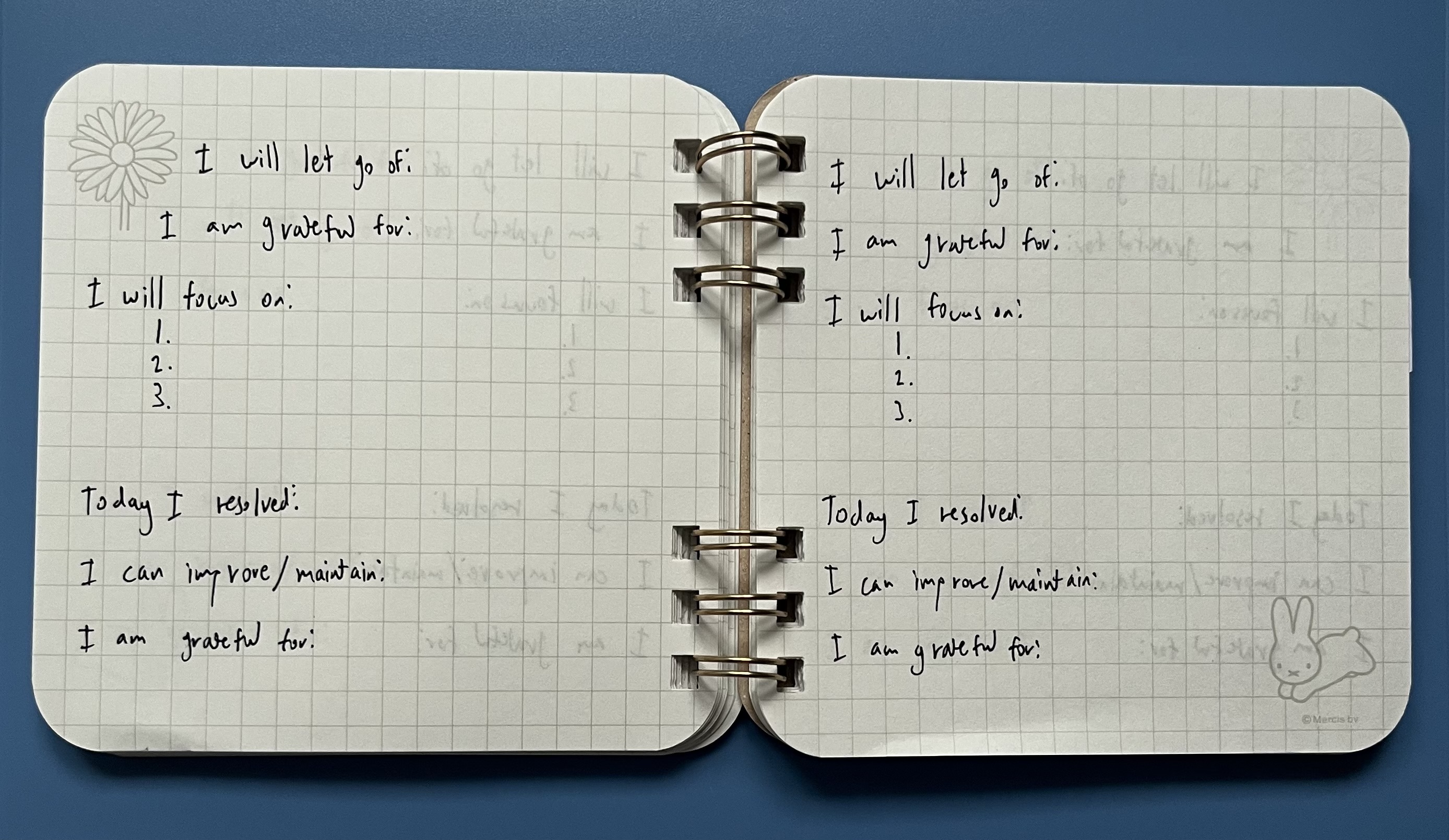 Photo of author\'s journal