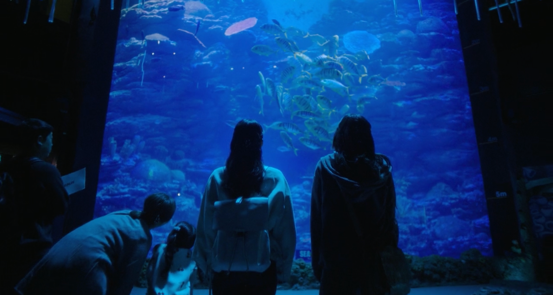 A screenshot from the film Soulmate (2023). It features actresses Kim Da-mi and Jeon So-nee, whose backs are turned to the camera, watching a tank of fish at an aquarium.