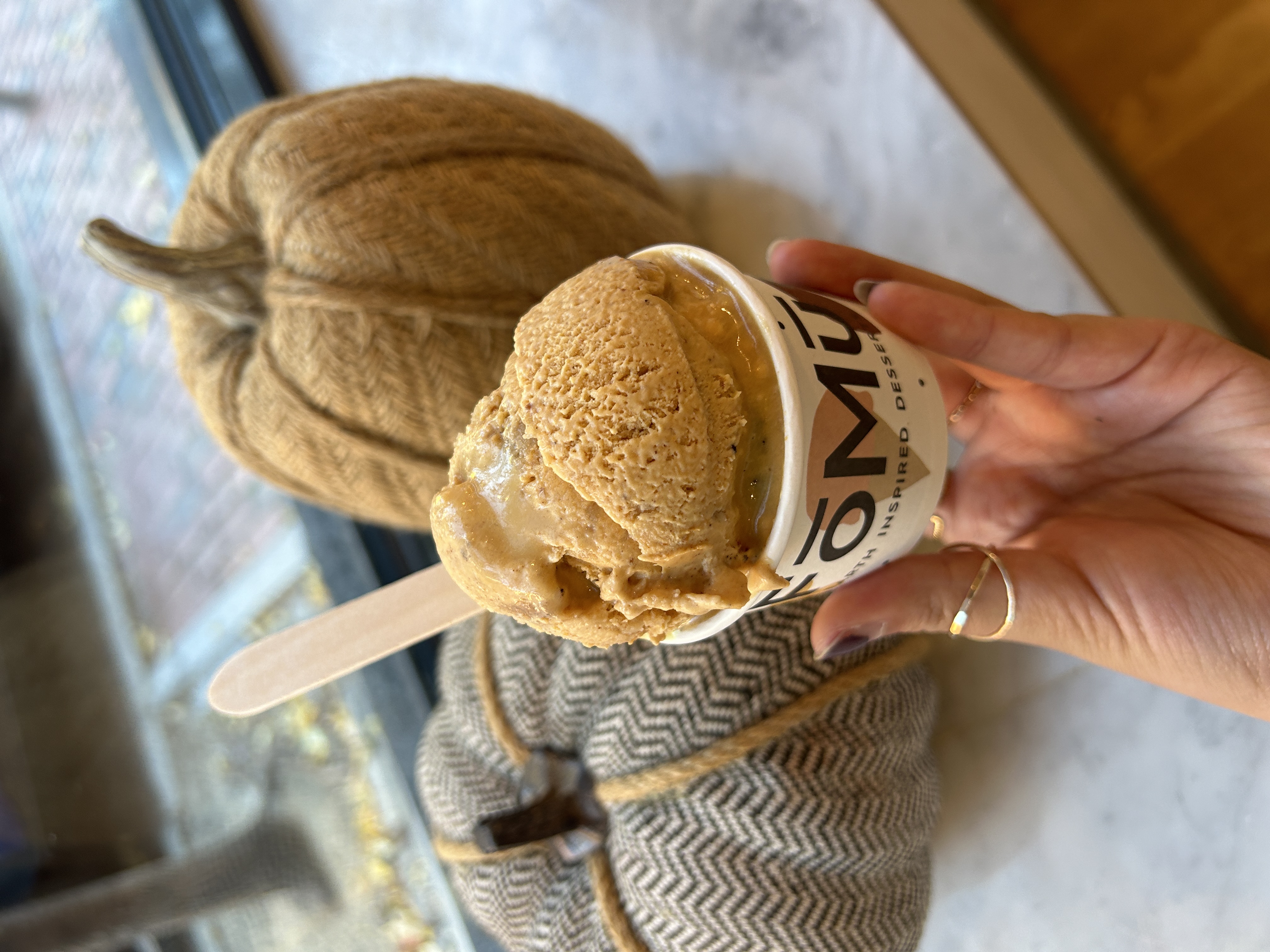 FoMu Caramel Pumpkin Spice ice cream