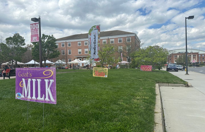 Cover photo of the Farmer\'s Market entrance at Tawes Garden Plazes