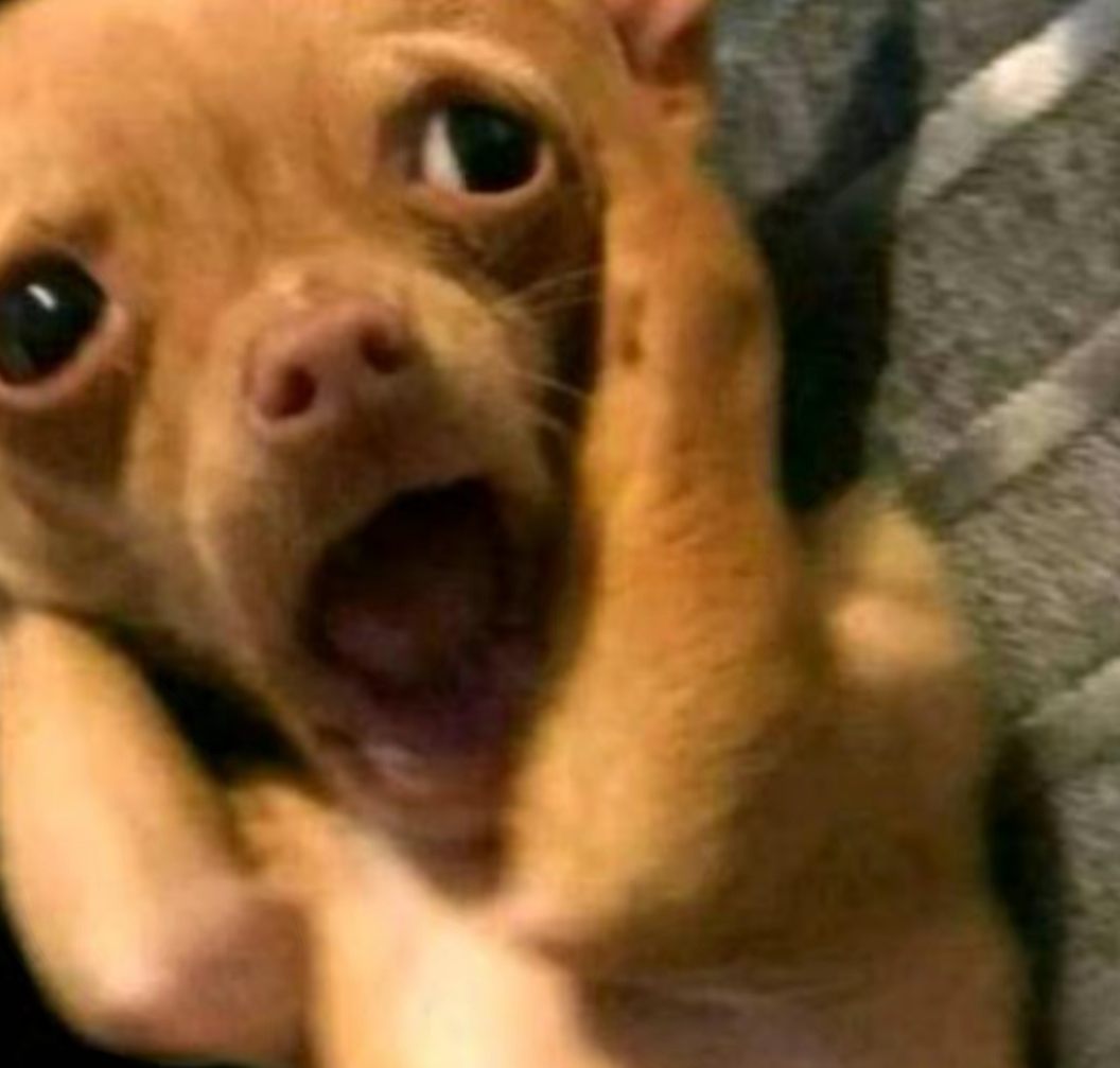 IMG 4602?width=300&height=300&fit=cover&auto=webp&dpr=4