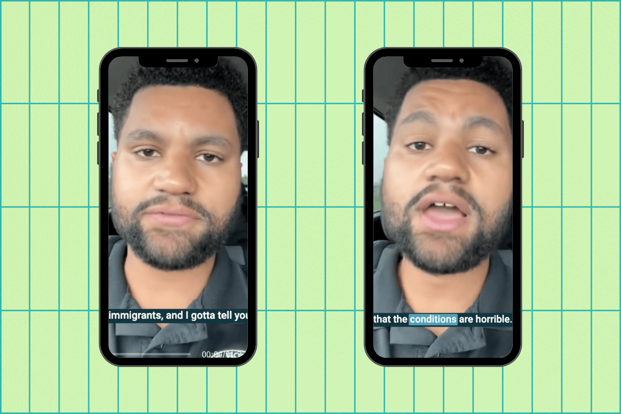 alligator alcatraz?width=698&height=466&fit=crop&auto=webp&dpr=4