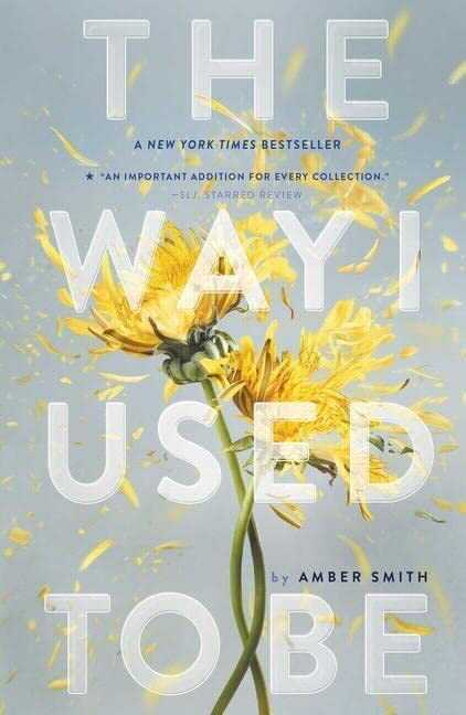 the way i used to be by amber smith