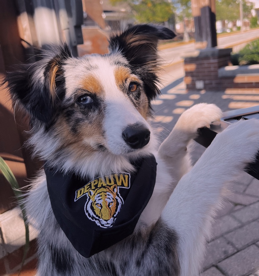 9635800f828845c89f6486ef9cdbb00e 1 105 cjpegjpg by Brynn Kelly?width=698&height=466&fit=crop&auto=webp&dpr=4